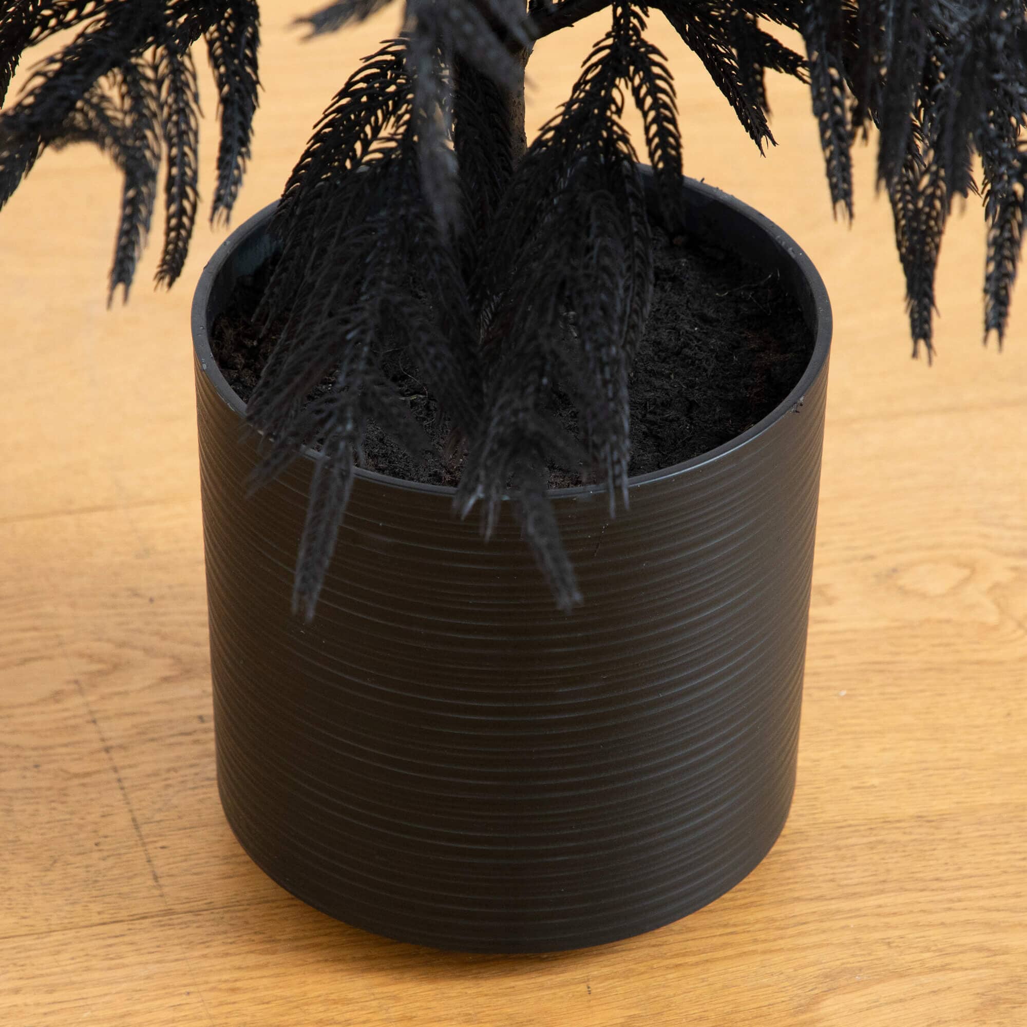4' Artificial Halloween Real Touch Black Norfolk Pine Christmas Tree with Natural Look - Image 4