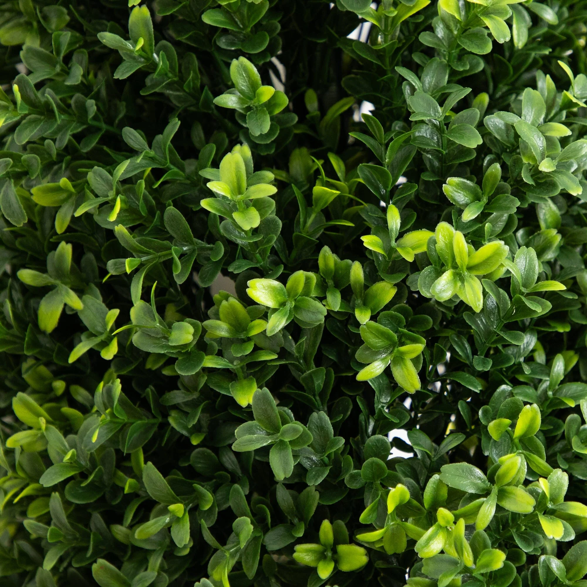 4' UV Resistant Artificial Boxwood Plant with Integrated Ground Stake (Indoor/Outdoor) - Set of 2 - Image 2