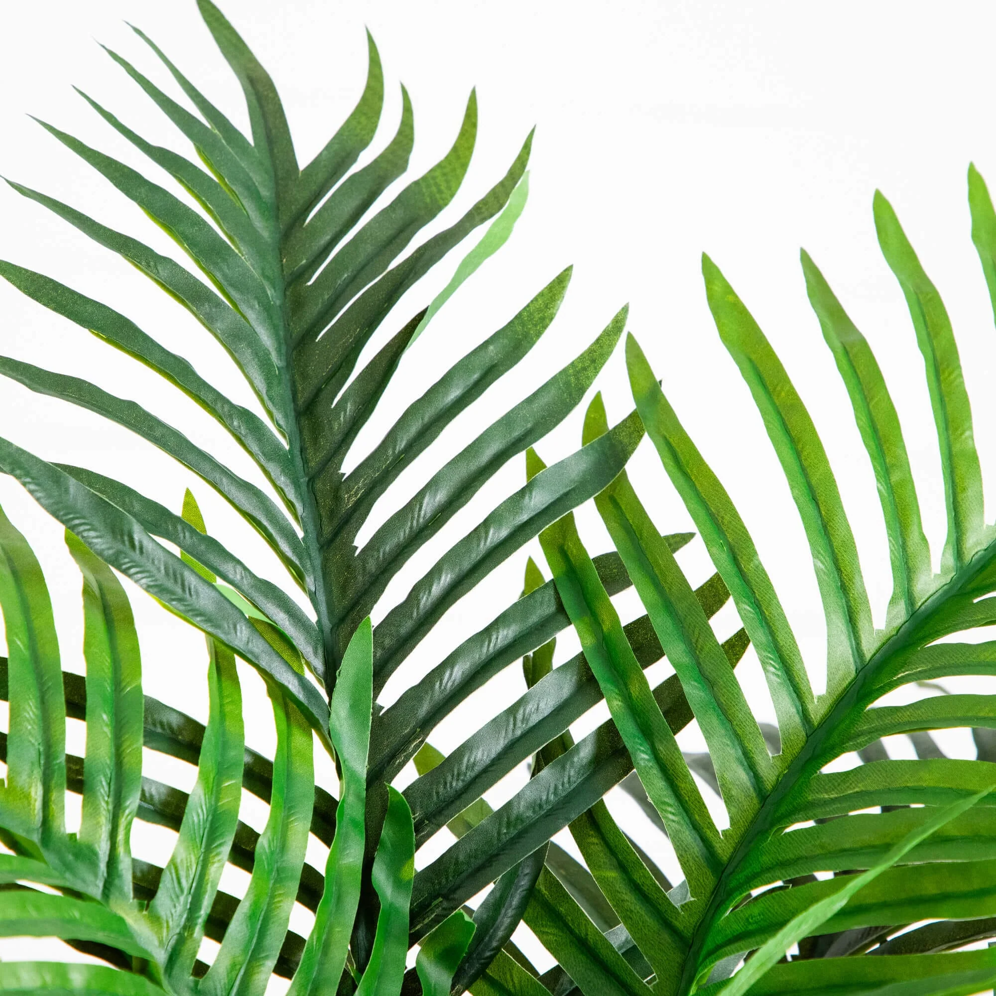 4' UV Resistant Artificial Double Robellini Palm Tree (Indoor/Outdoor) - Image 2