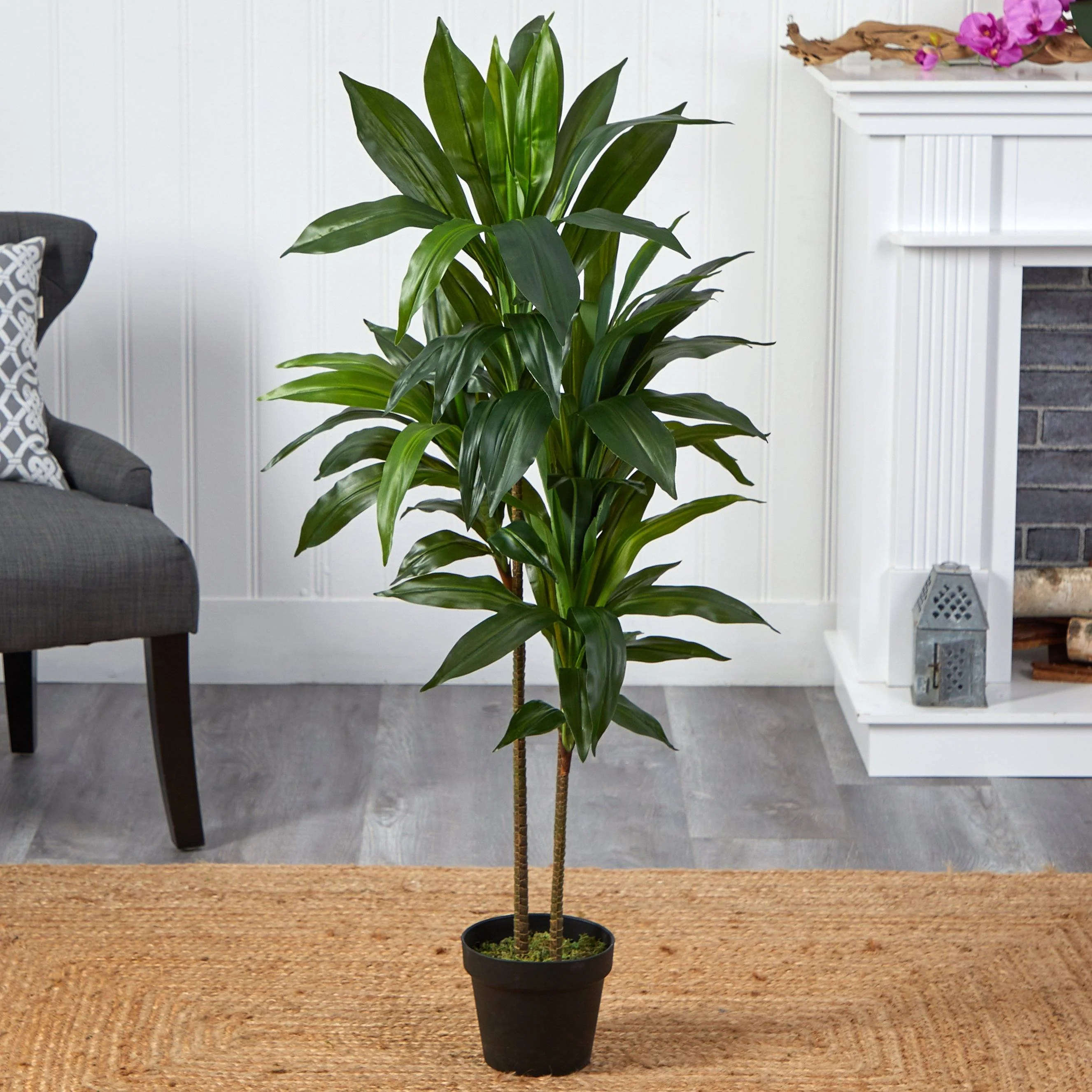 48" Dracaena Silk Plant (Real Touch) - Image 10