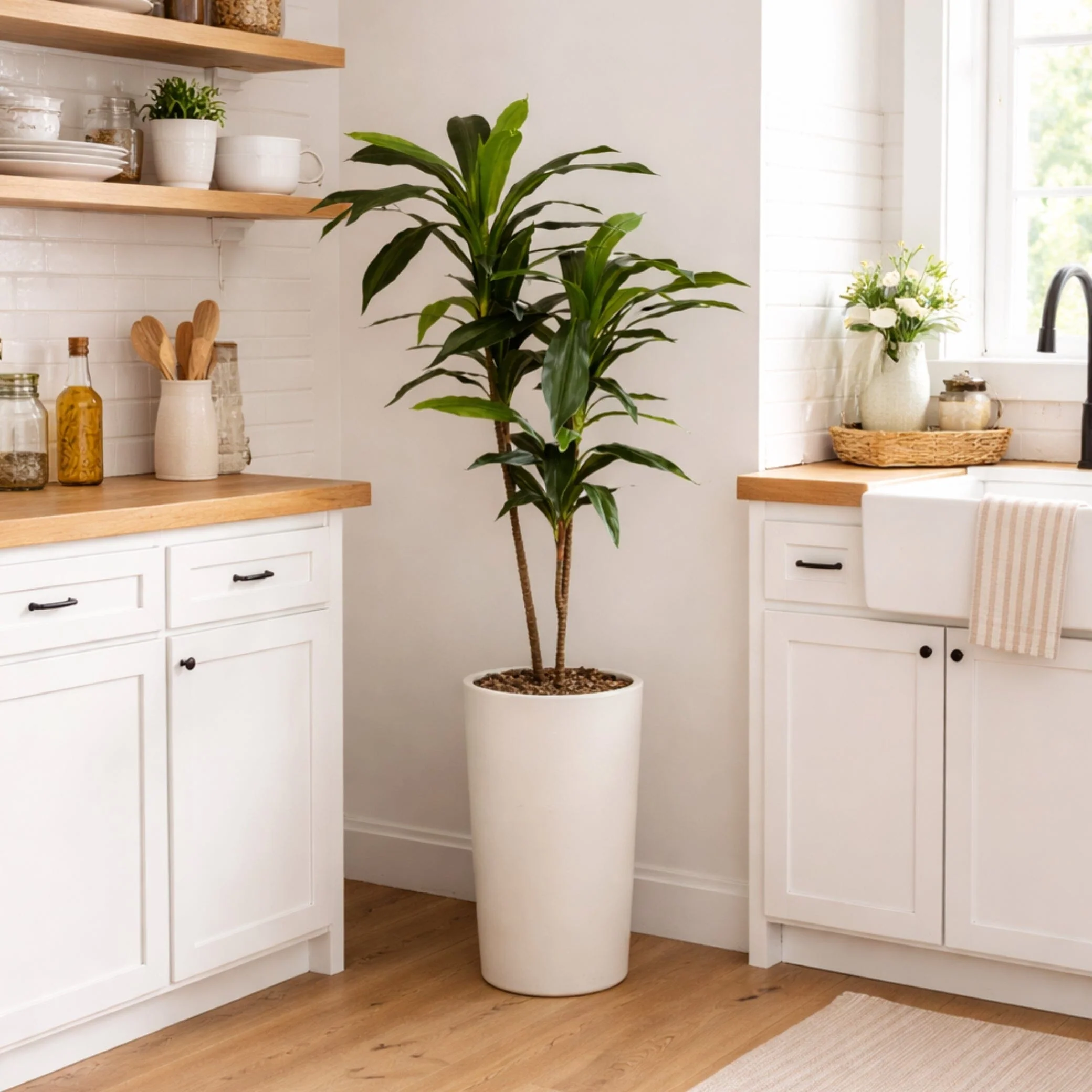 48" Dracaena Silk Plant (Real Touch) - Image 4