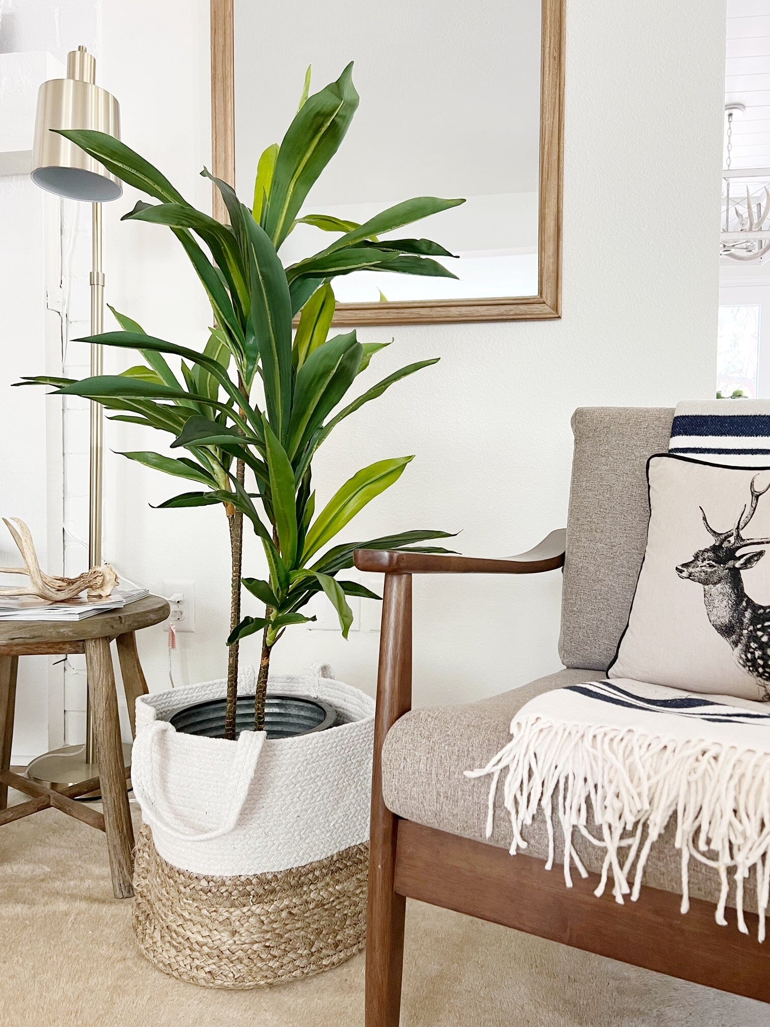 48" Dracaena Silk Plant (Real Touch) - Image 7