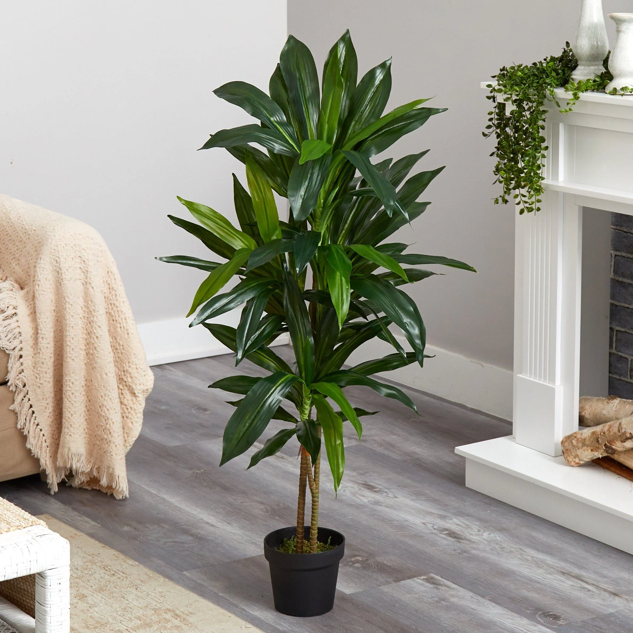 48" Dracaena Silk Plant (Real Touch) - Image 9