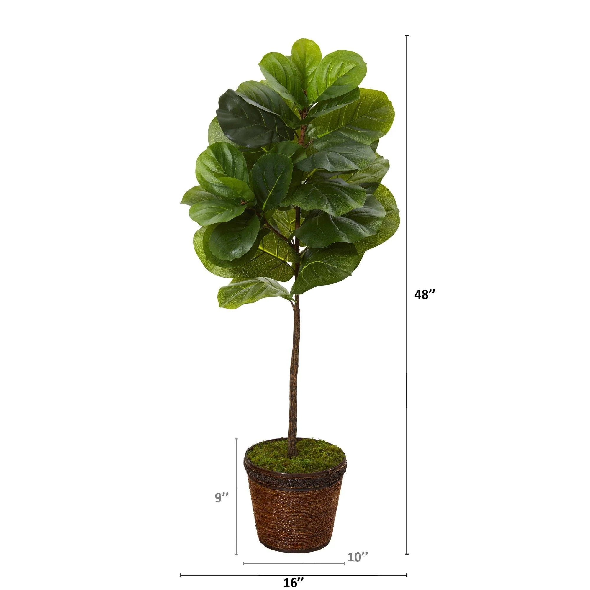 4’ Fiddle Leaf Artificial Tree in Coiled Rope Planter (Real Touch) - Image 2