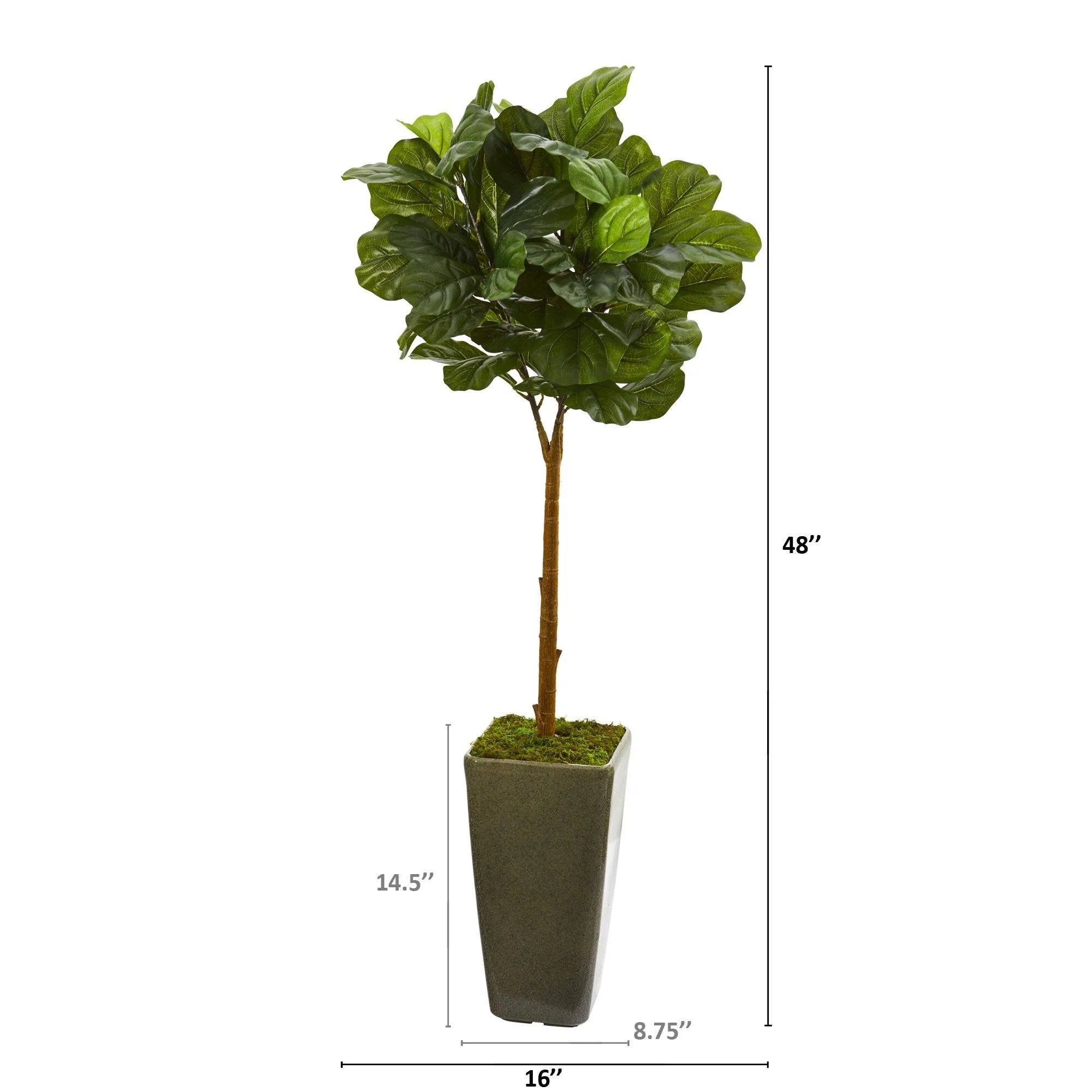4’ Fiddle Leaf Artificial Tree in Green Planter (Real Touch) - Image 2