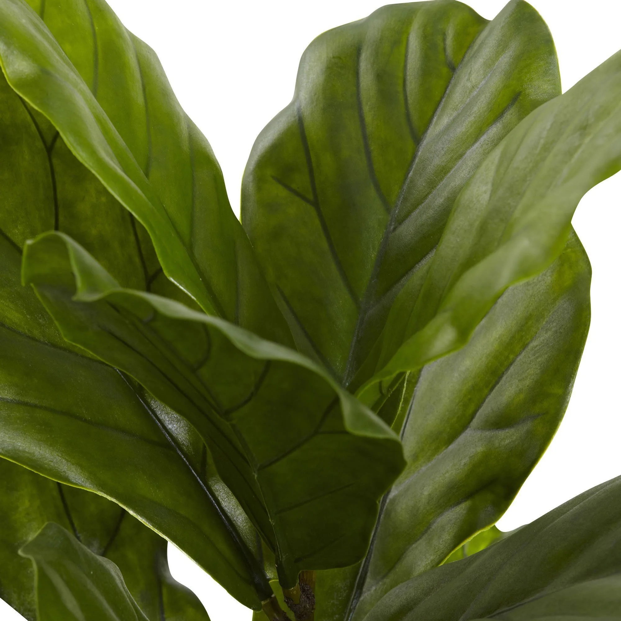 4’ Fiddle Leaf Tree UV Resistant (Indoor/Outdoor) - Image 5