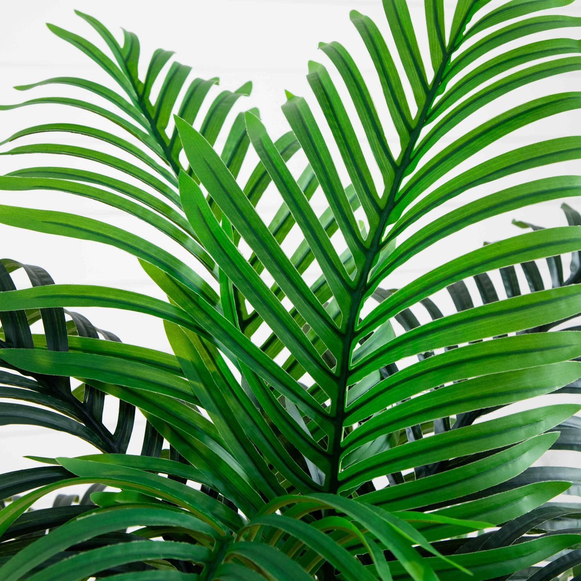 Kentia Palm Artificial Tree - Image 2