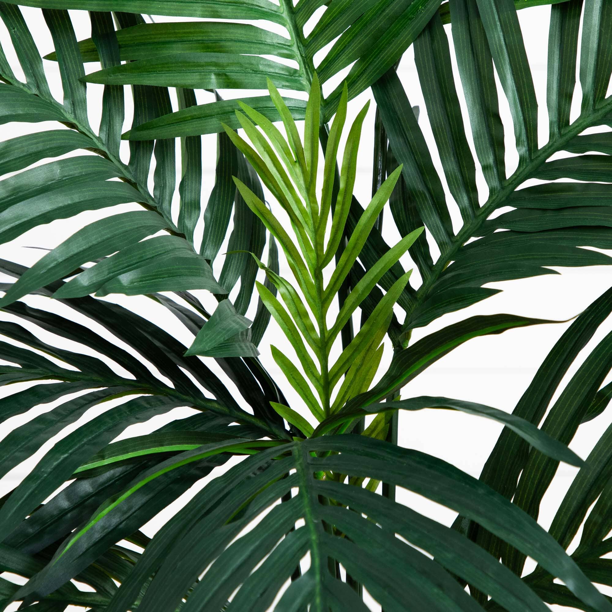 4’ Kentia Palm Tree in Coiled Rope Planter - Image 2