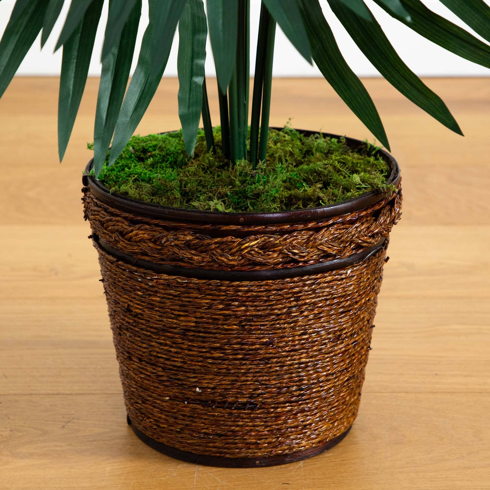 4’ Kentia Palm Tree in Coiled Rope Planter - Image 3