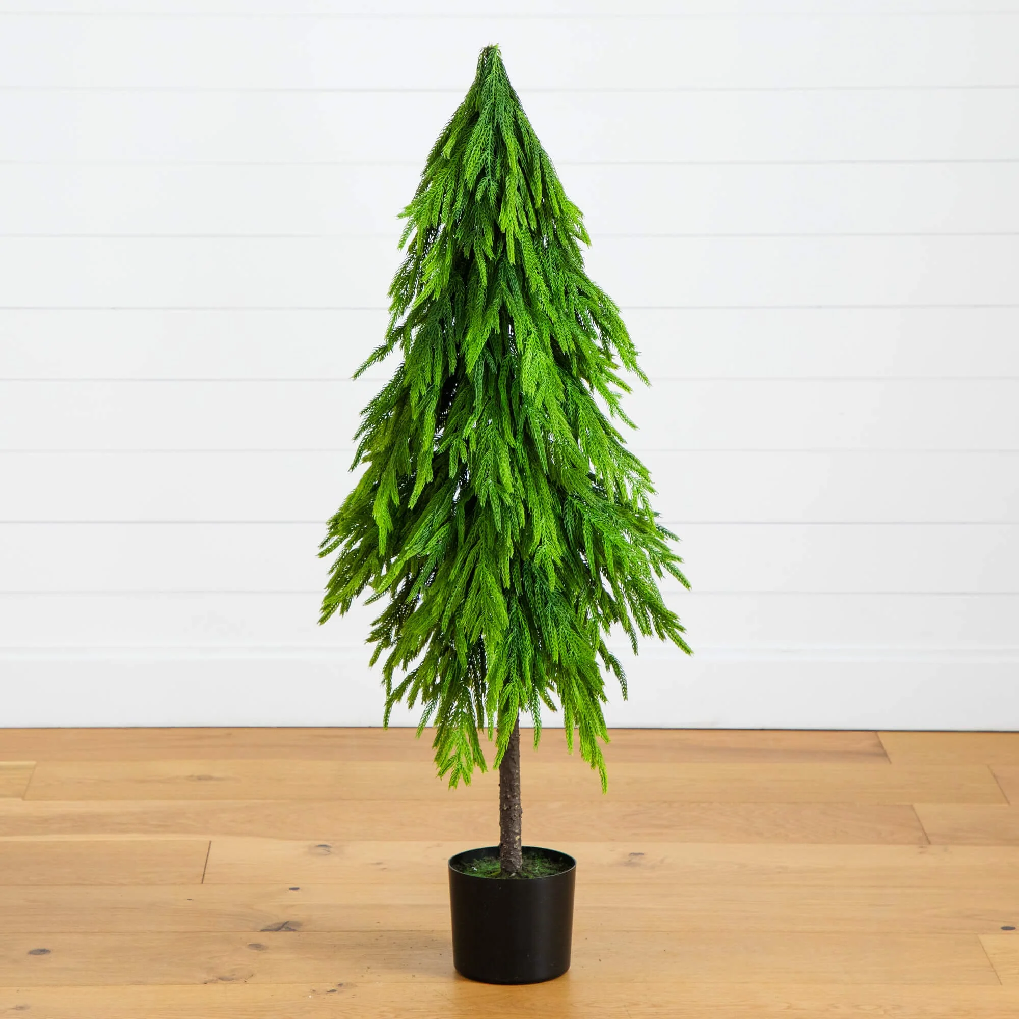 4' Artificial Real Touch Down Swept Norfolk Pine Tree with Natural Look