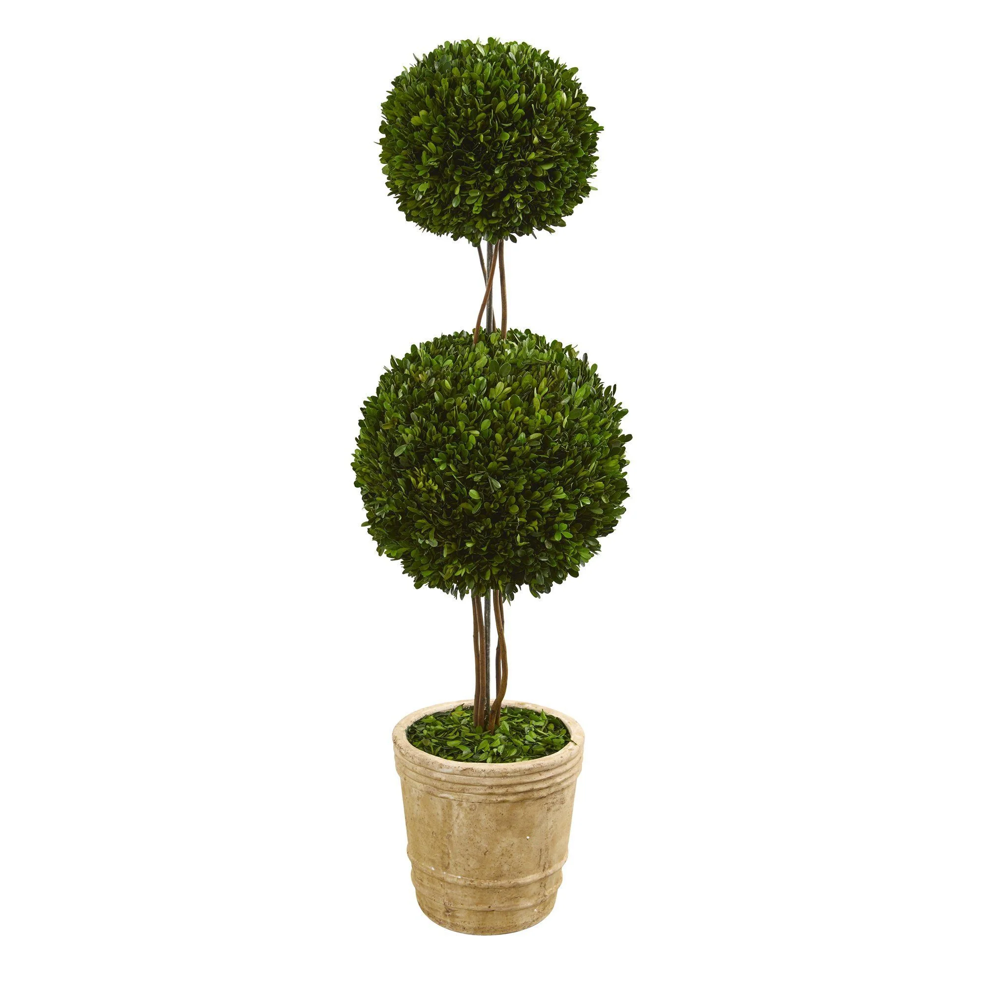 4’ Preserved Boxwood Double Ball Topiary Tree in Planter - Image 6