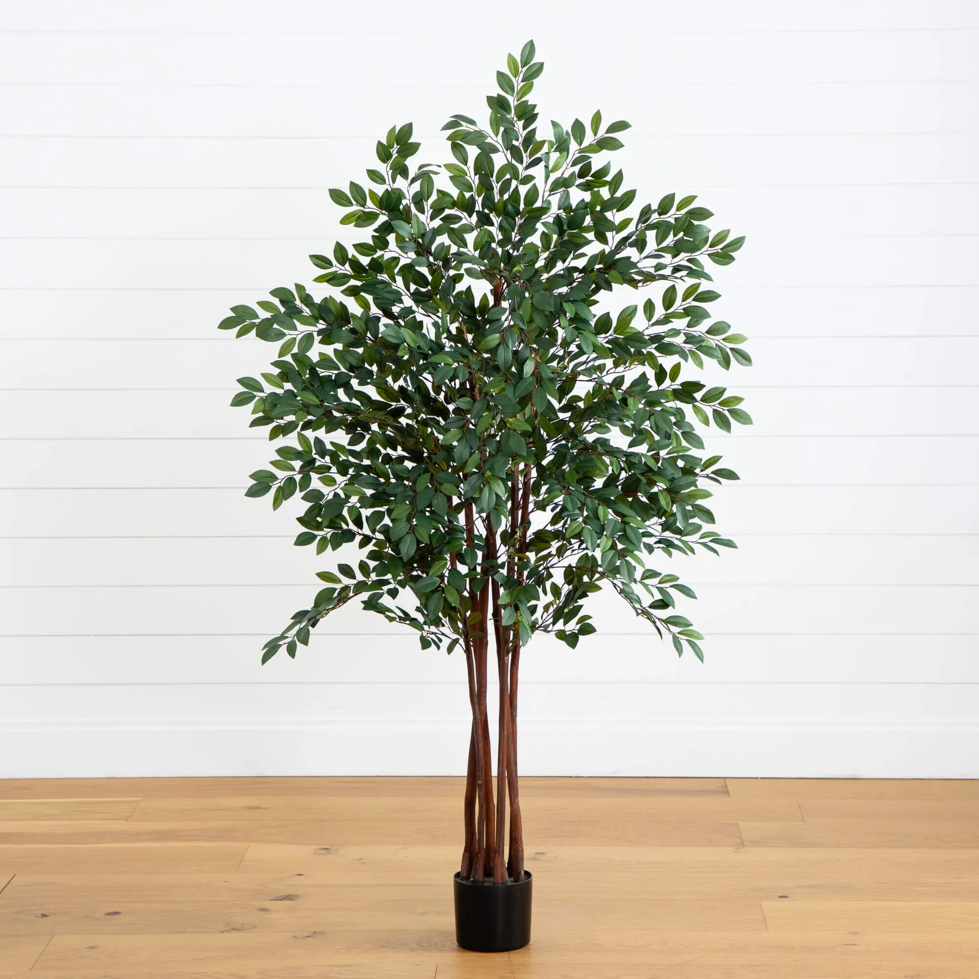 4' Ruscus Silk Tree