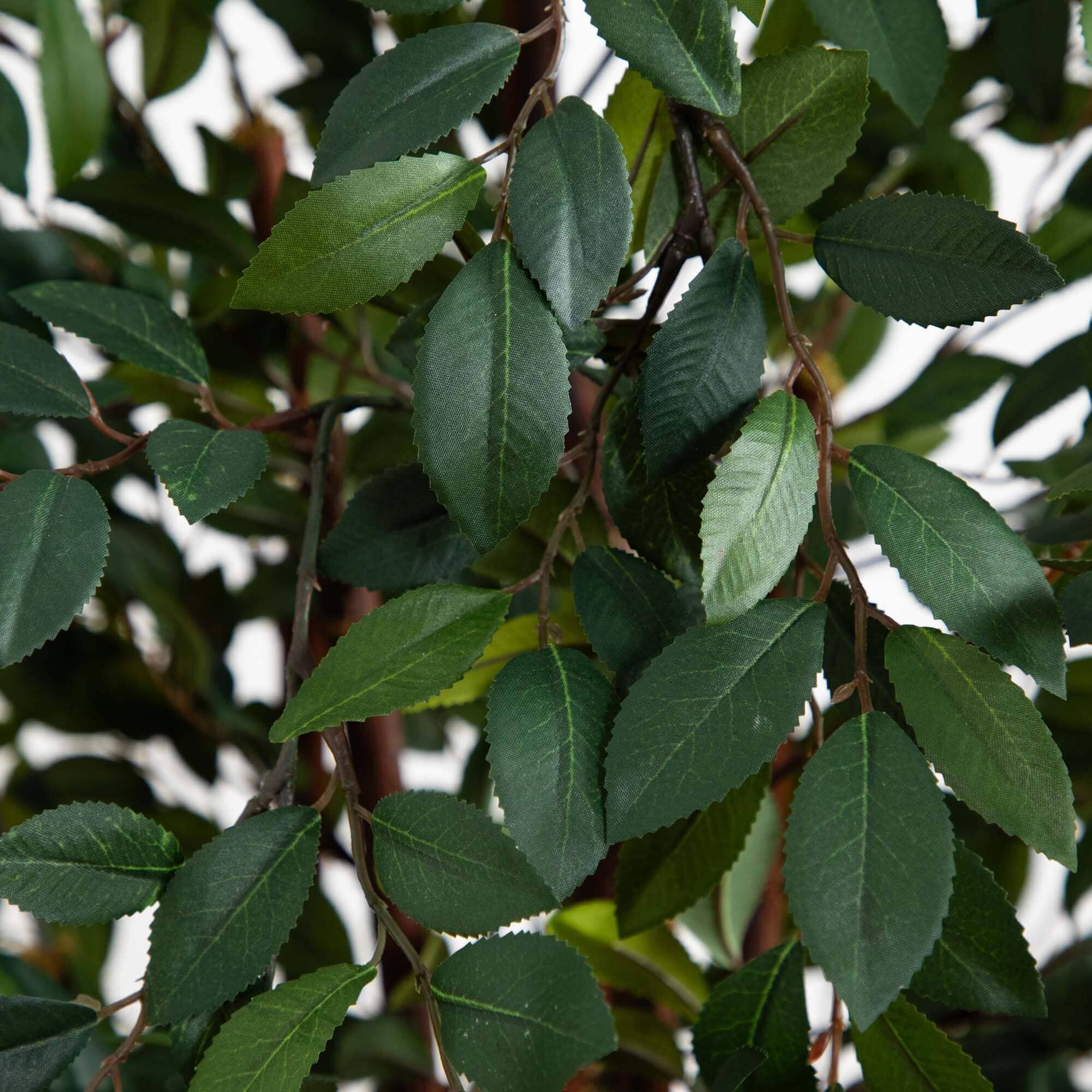 4' Ruscus Silk Tree - Image 2