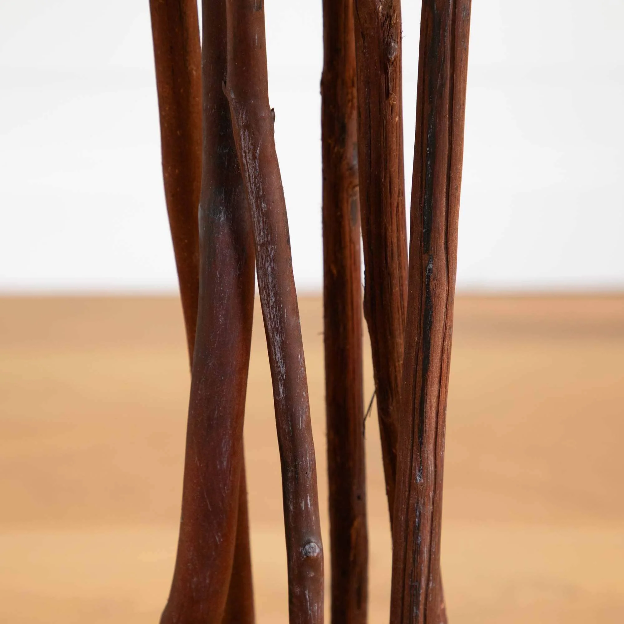 4' Ruscus Silk Tree - Image 3