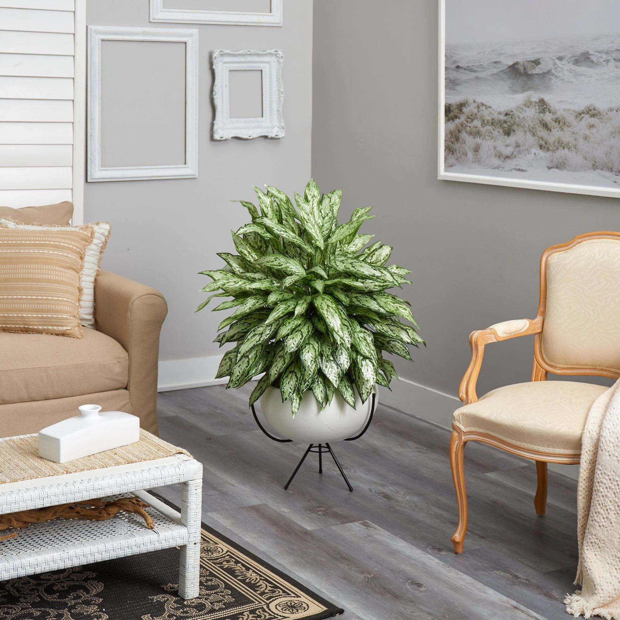 4’ Silver Queen Artificial Plant in White Planter with Metal Stand - Image 4