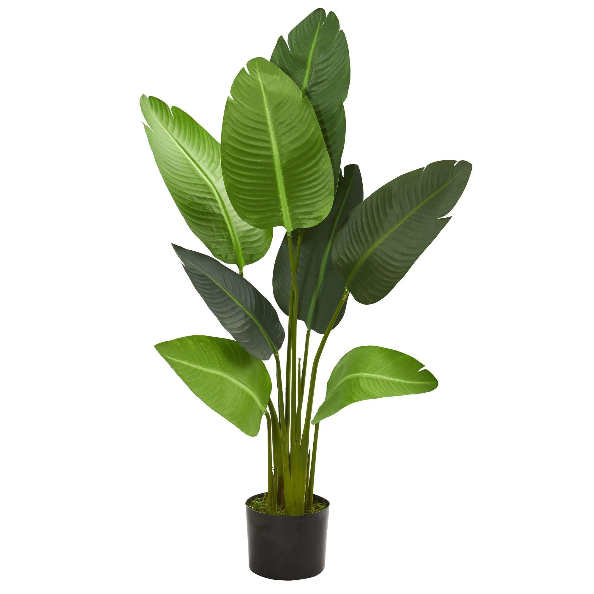 4’ Travelers Palm Artificial Tree - Image 6