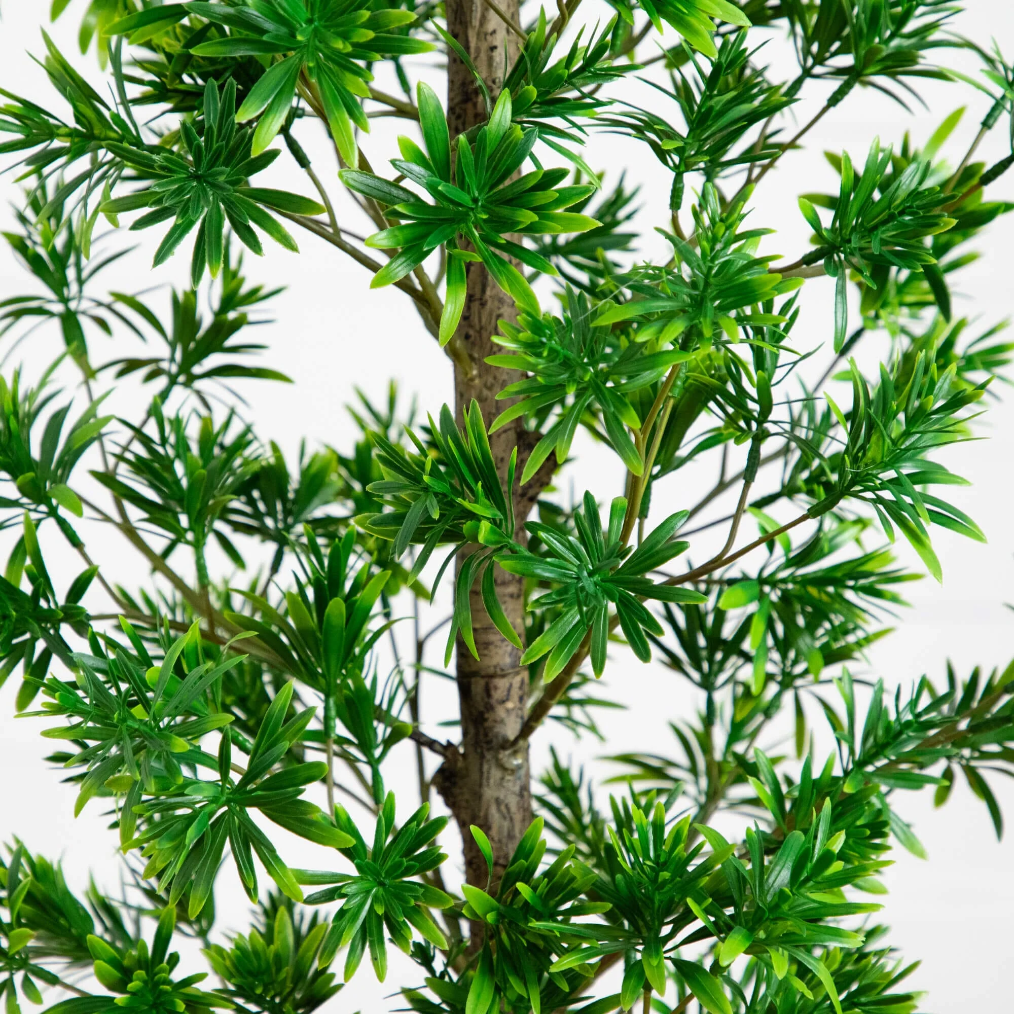 4' UV Artificial Podocarpus Artificial Tree (Indoor/Outdoor) - Image 2