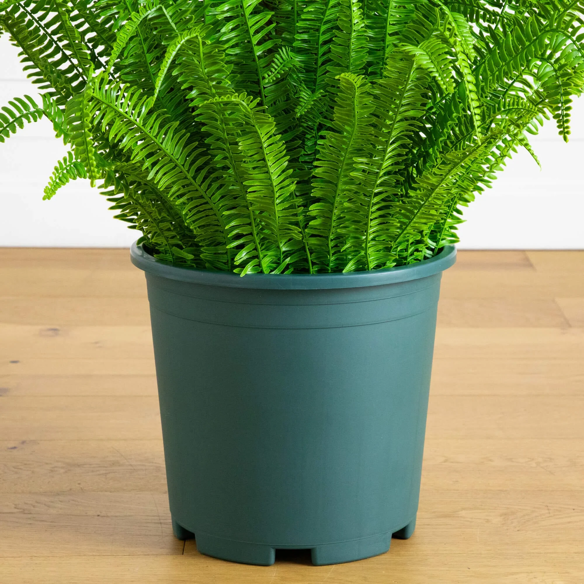 4' UV Resistant Artificial Real Touch Boston Fern Plant (Indoor/Outdoor) - Image 4