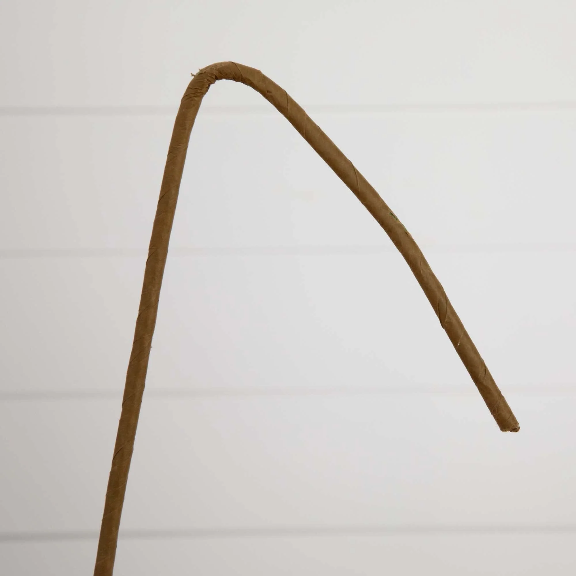 40" Artificial Eucalyptus Stems - Set of 3 - Image 6