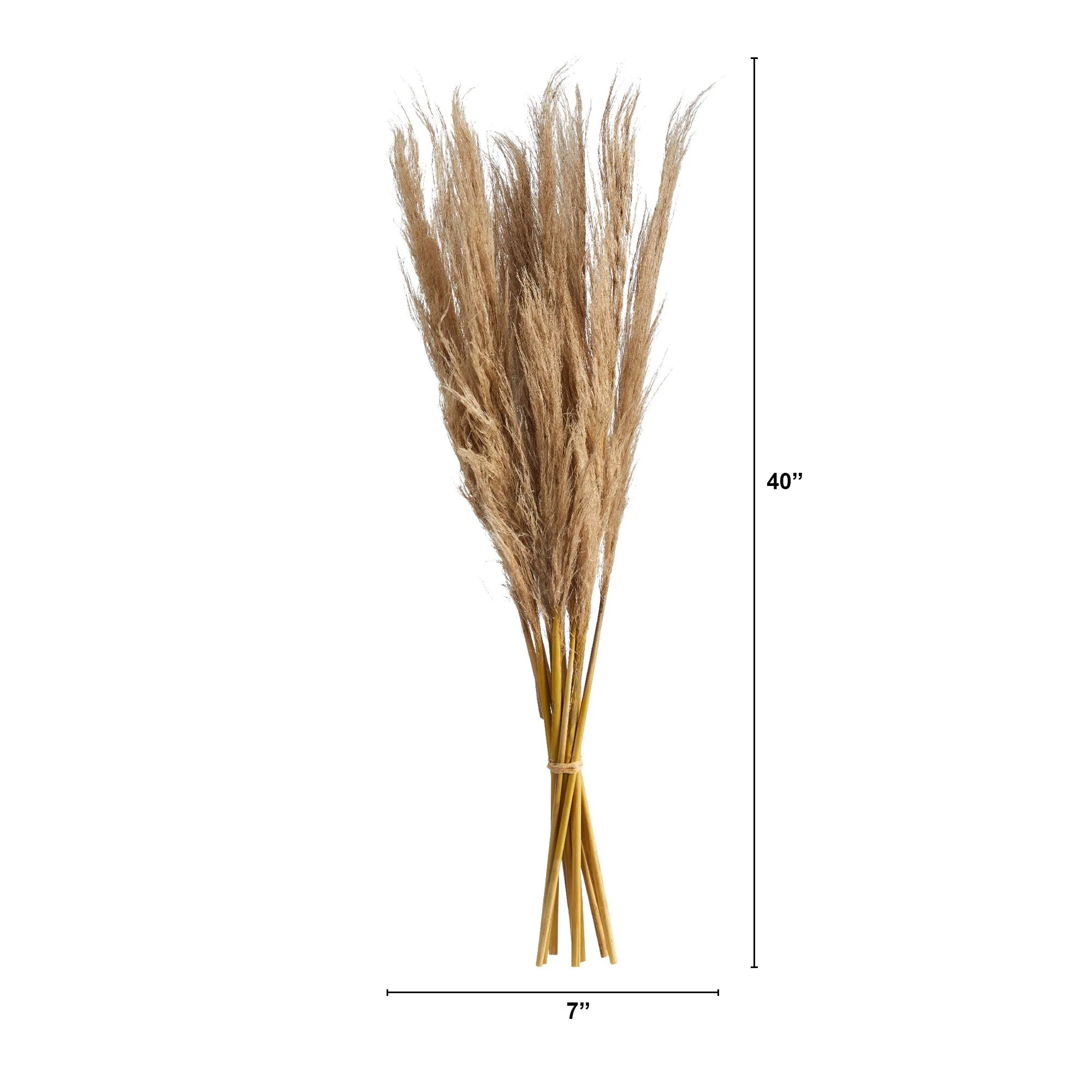 40” Dried Natural Pampass Grass Bundle (Set of 2) - Image 2