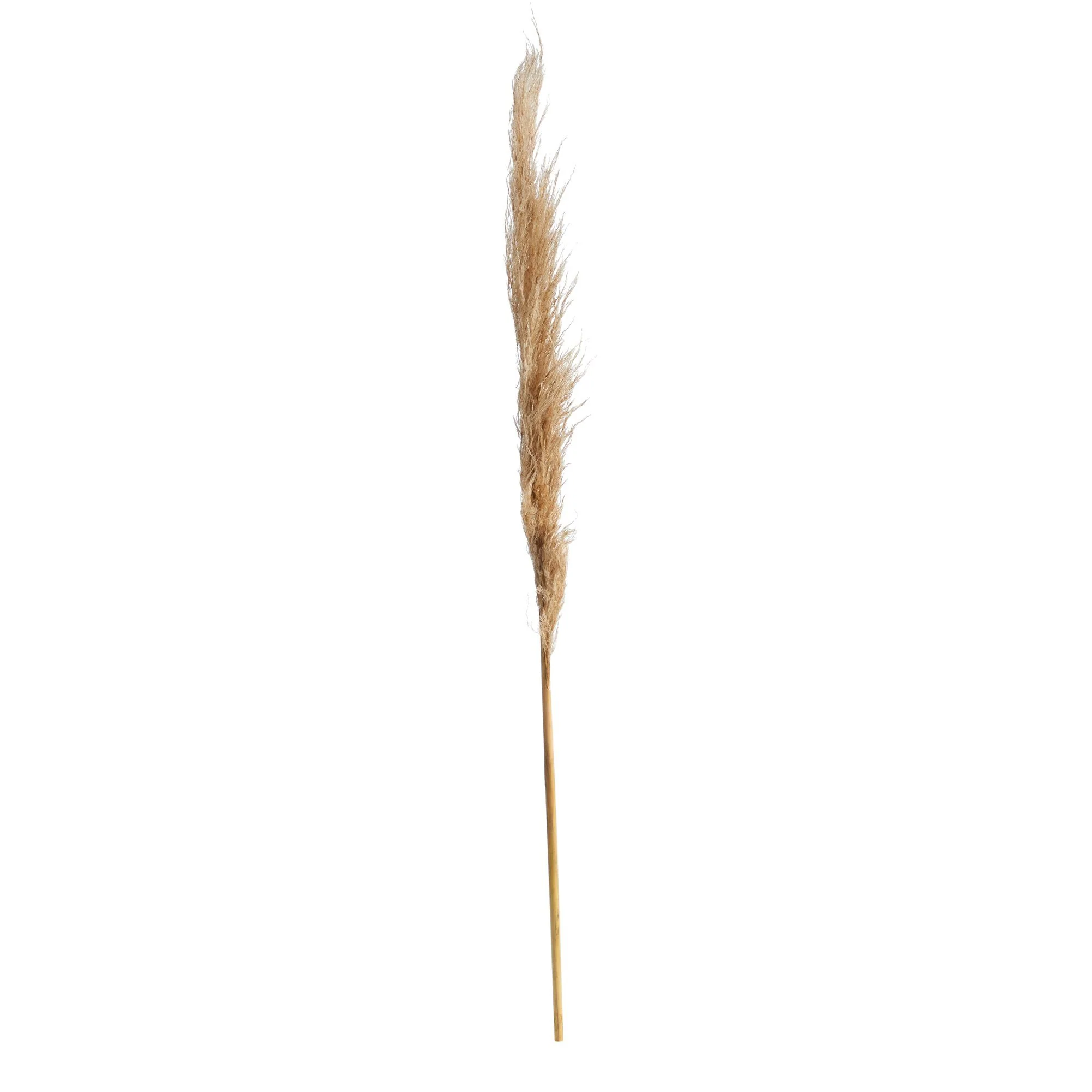 40” Dried Natural Pampass Grass Bundle (Set of 2) - Image 3