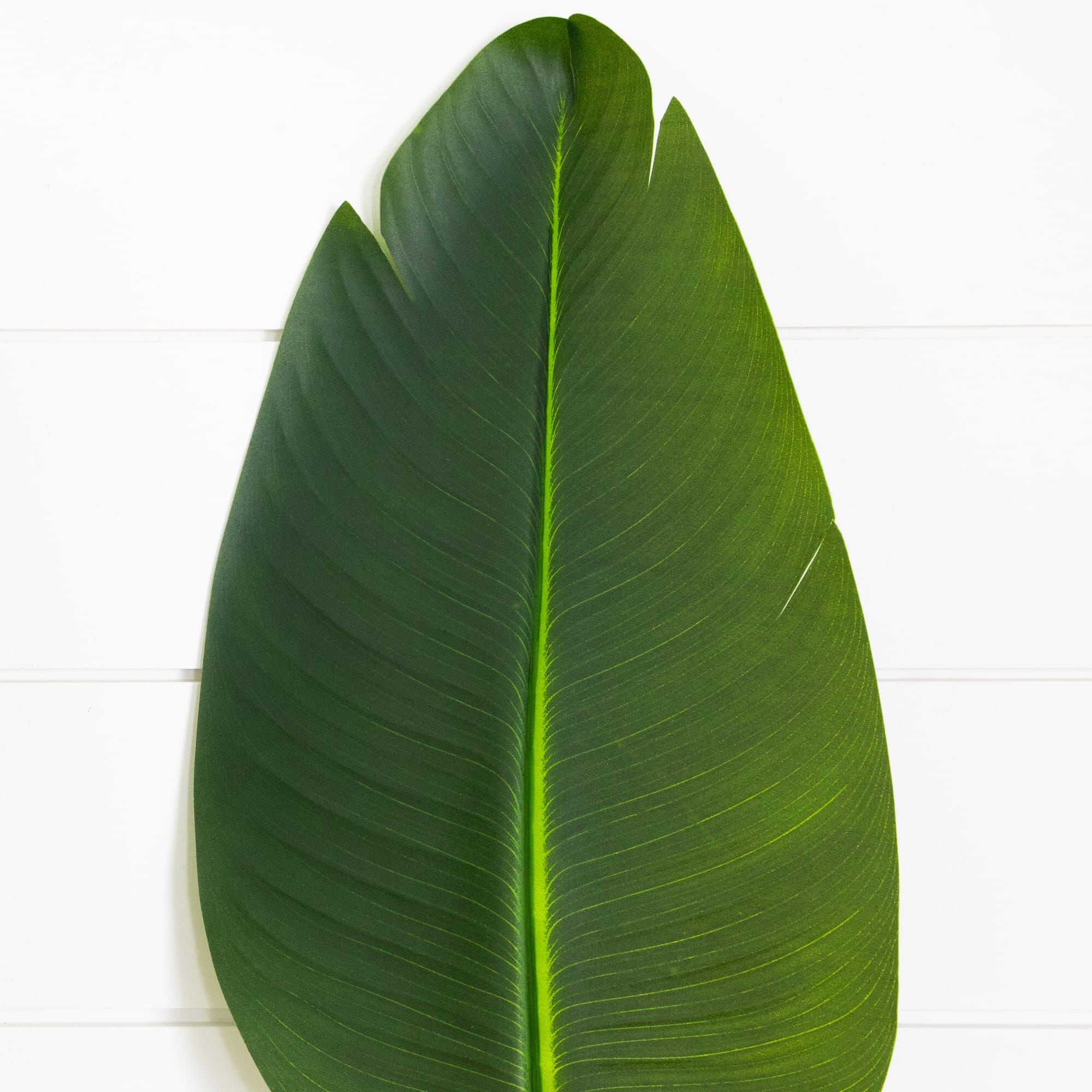 40" Artificial Travelers Palm Stems- Set of 6 - Image 2