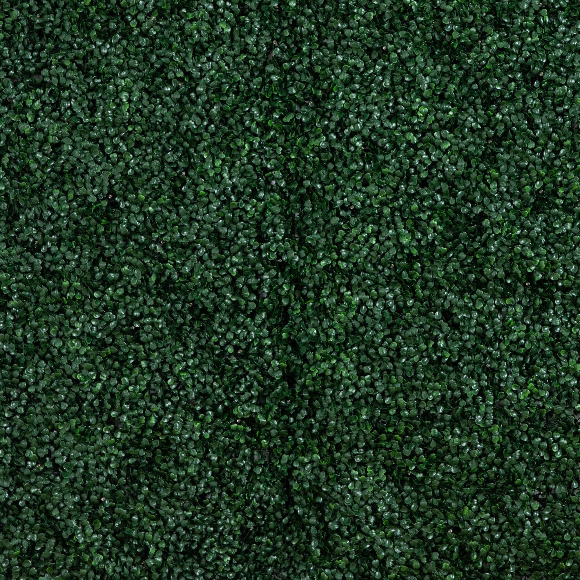 40” x 40” UV Resistant Boxwood Artificial Living Wall Panel with 100 Warm White LED Lights - Image 8
