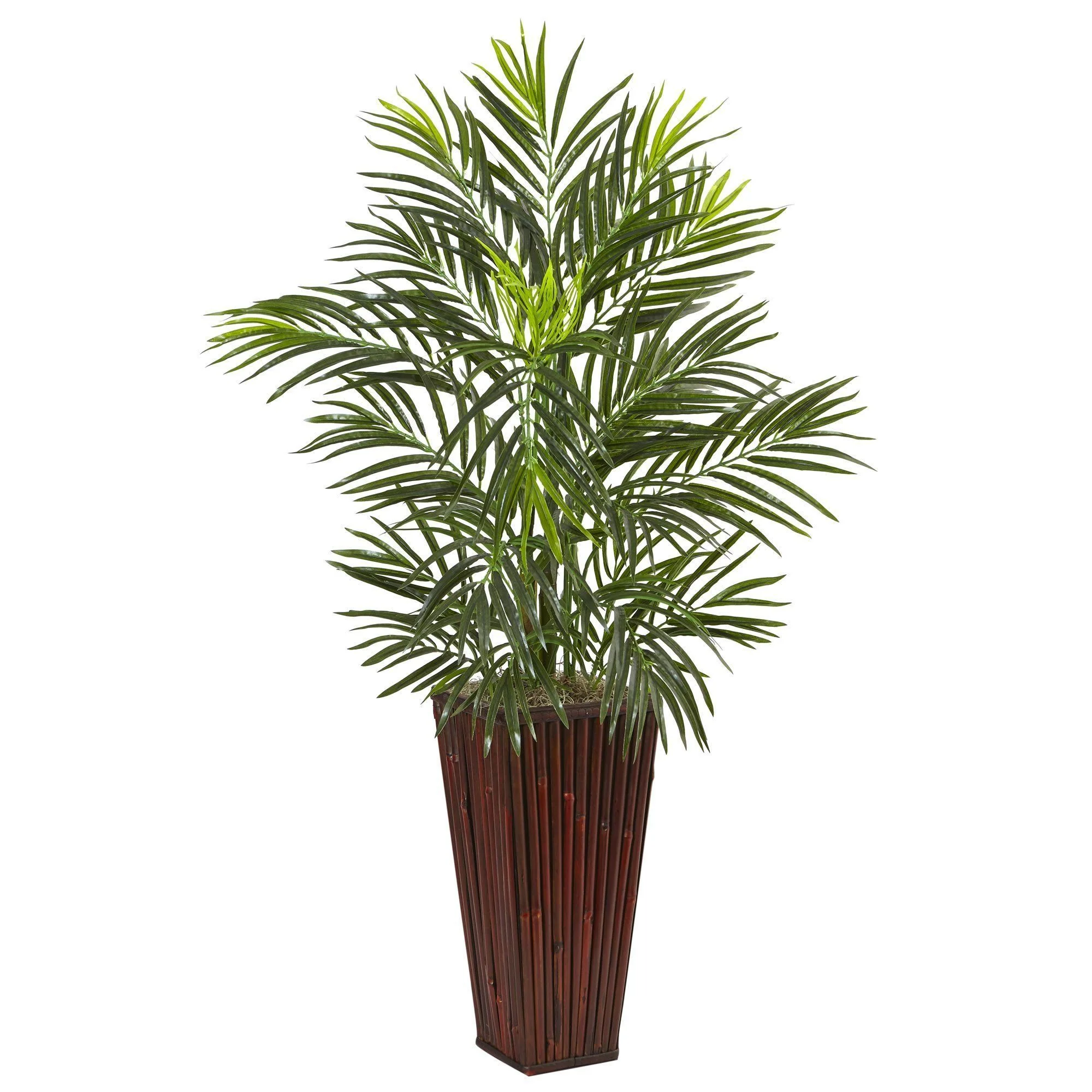 Areca Palm in Bamboo Planter