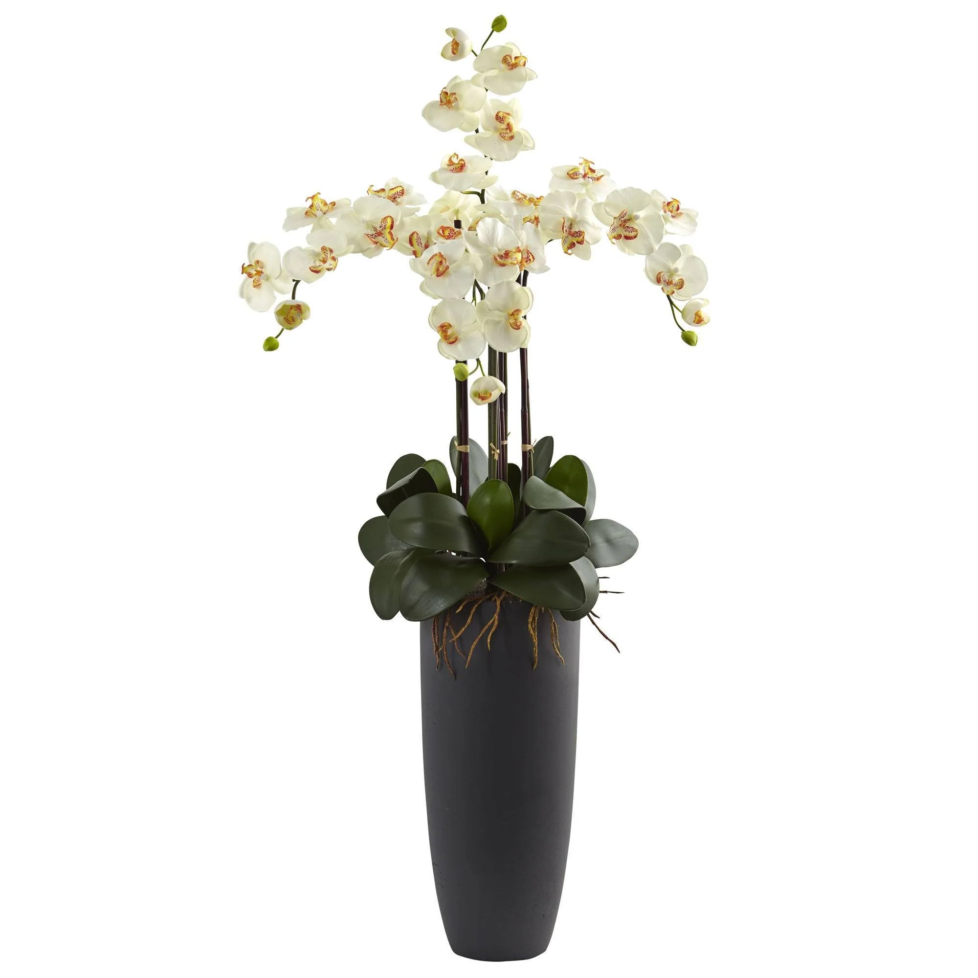 Phalaenopsis Orchid Arrangement with Bullet Planter - Image 2