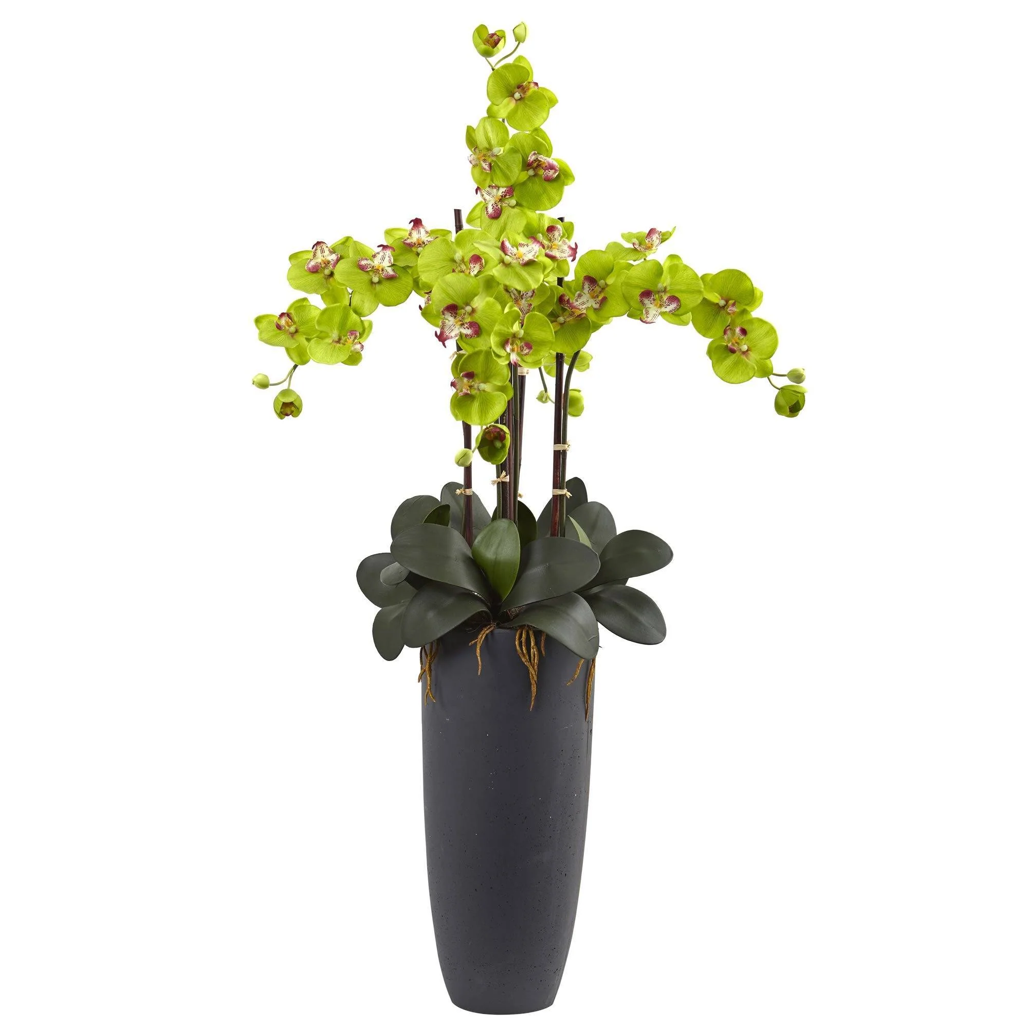 Phalaenopsis Orchid Arrangement with Bullet Planter - Image 4