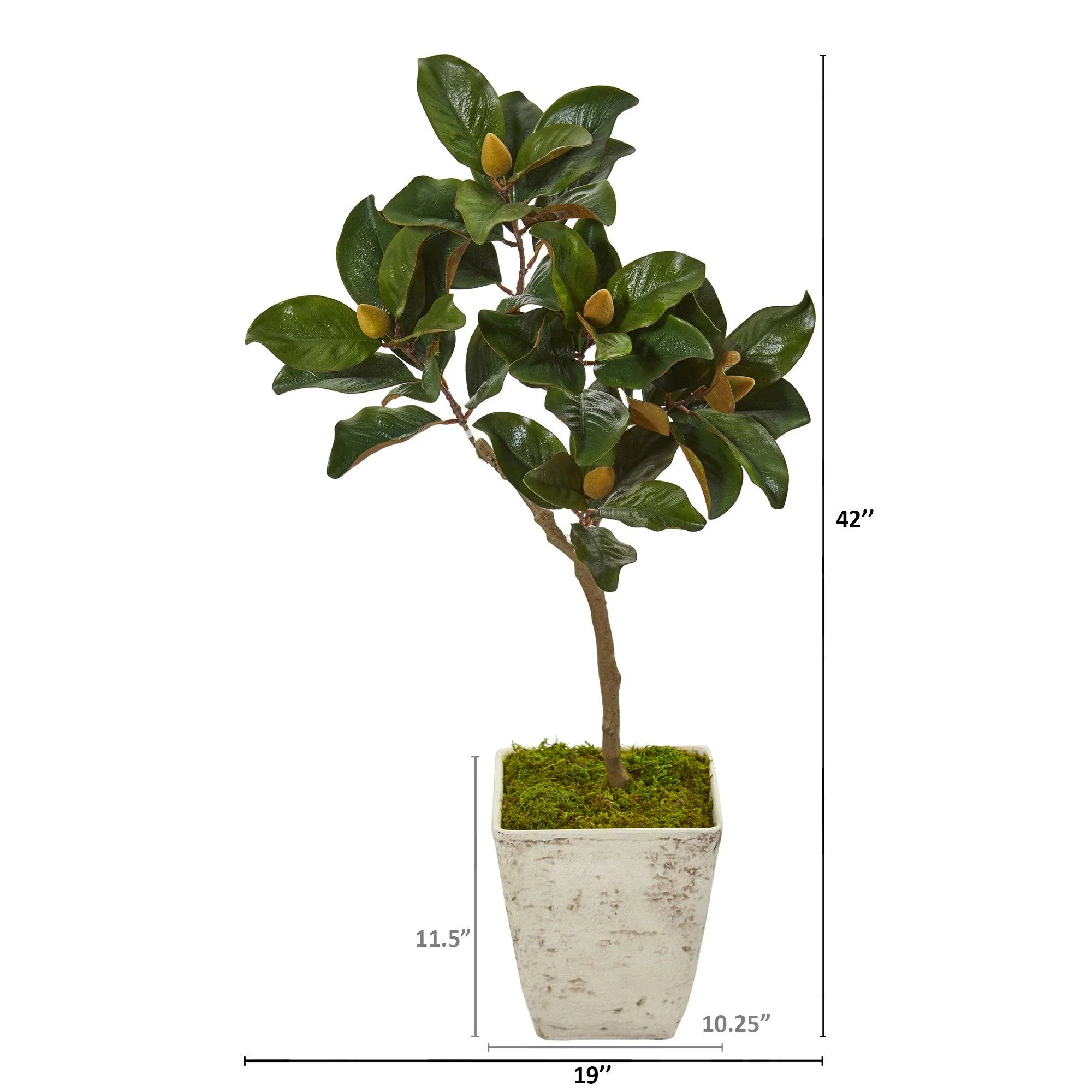 42” Magnolia Leaf Artificial Tree in Country White Planter - Image 2