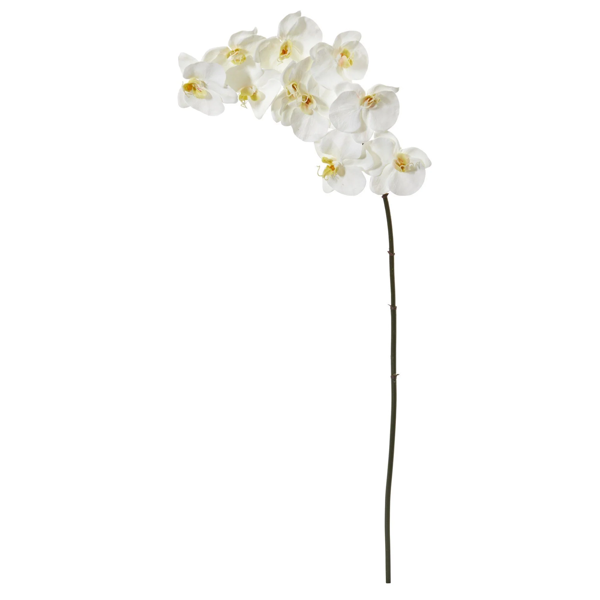 44” Phalaenopsis Orchid Artificial Flower (Set of 6) - Image 2