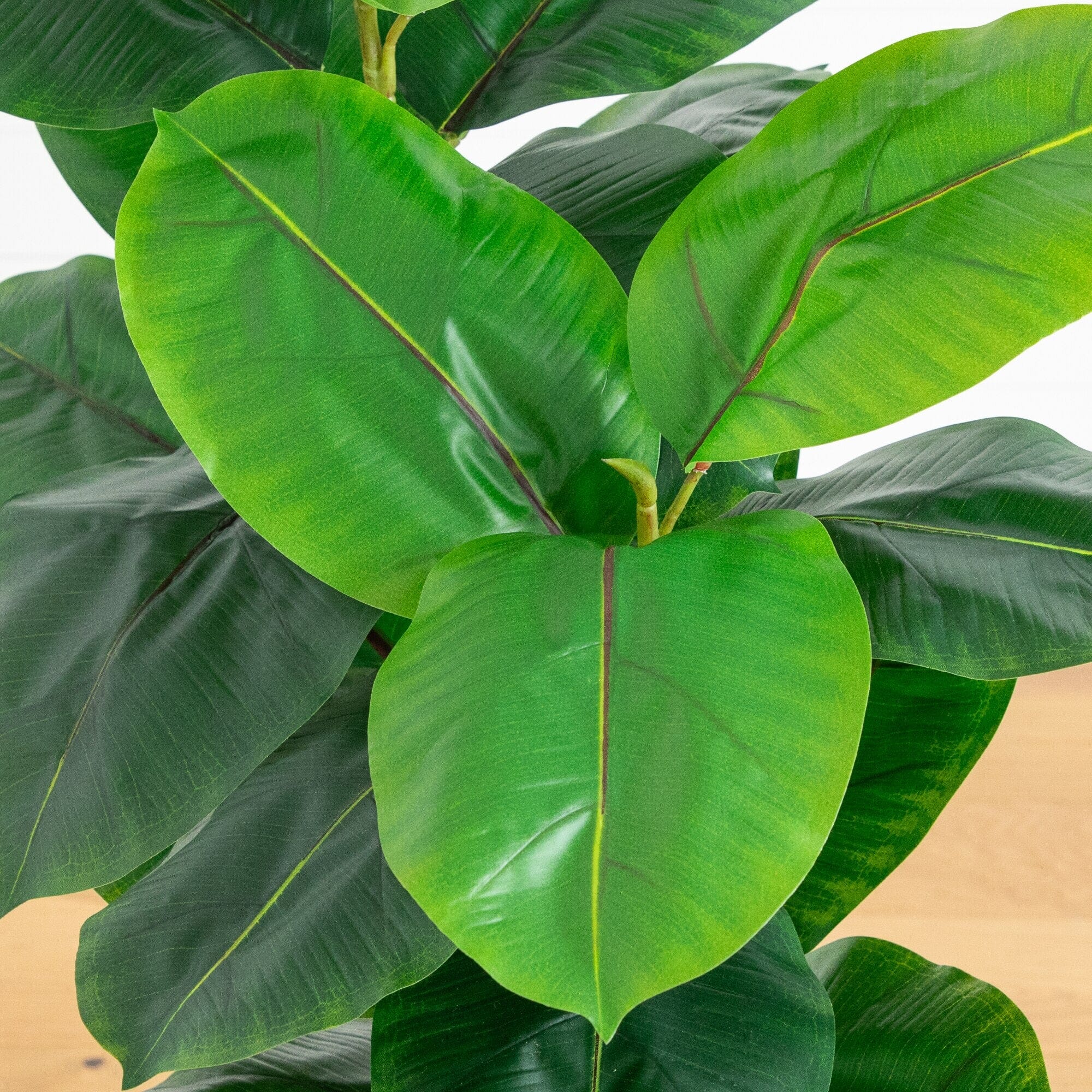 44" Artificial Rubber Tree in Decorative Planter - Image 2