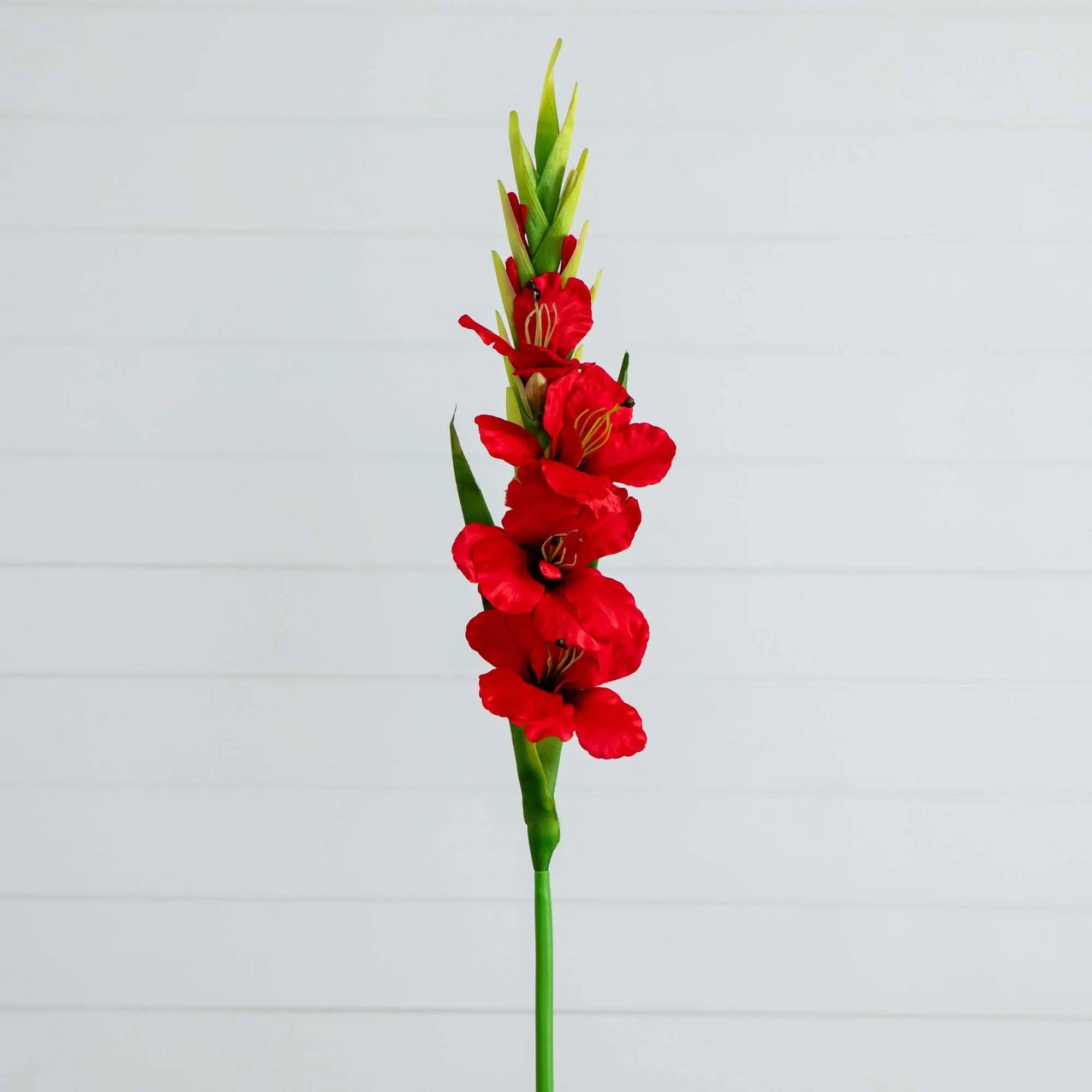 45" Artificial Gladiolus Flower Stems - Set of 3 - Image 11