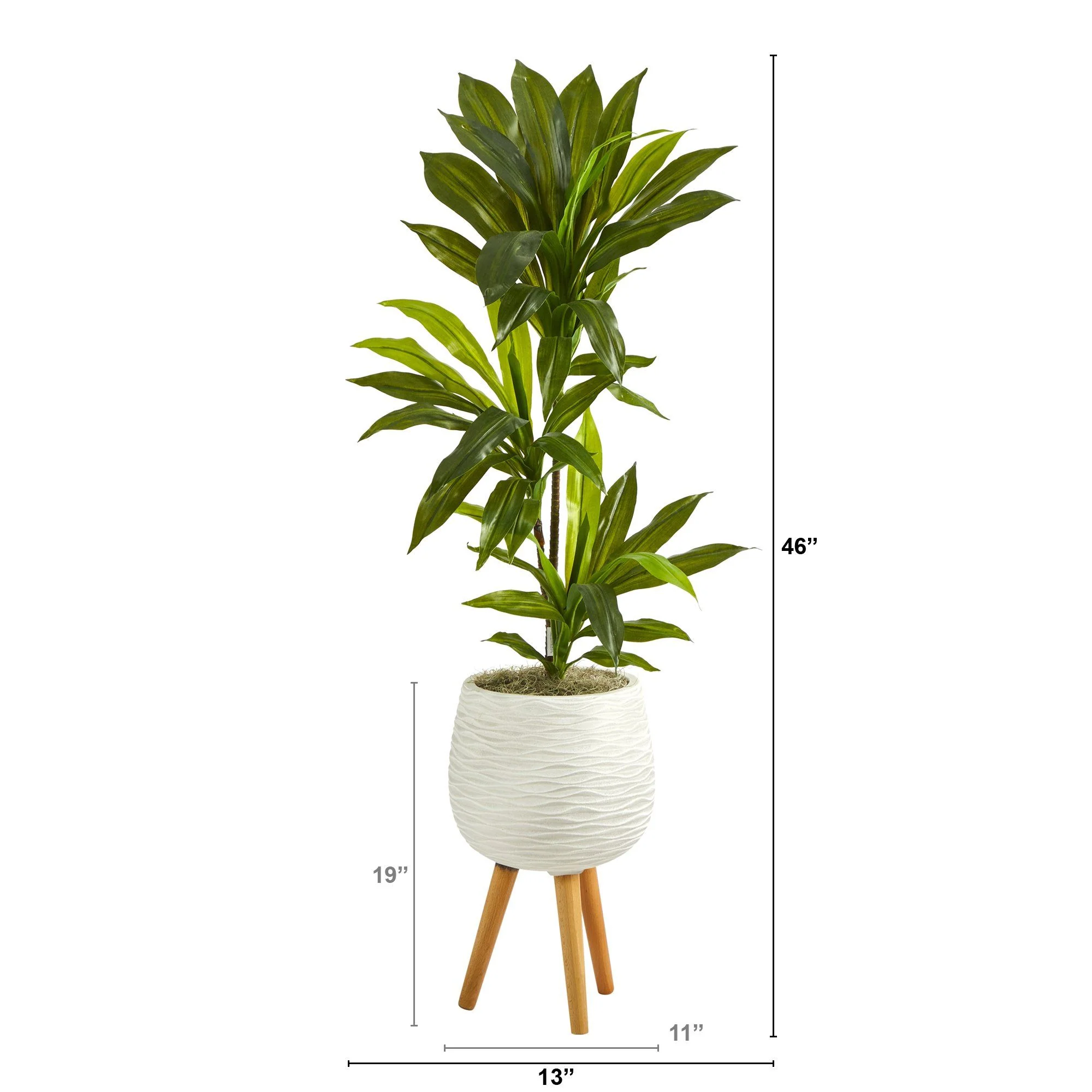 46” Dracaena Artificial Plant in White Planter with Stand (Real Touch) - Image 2