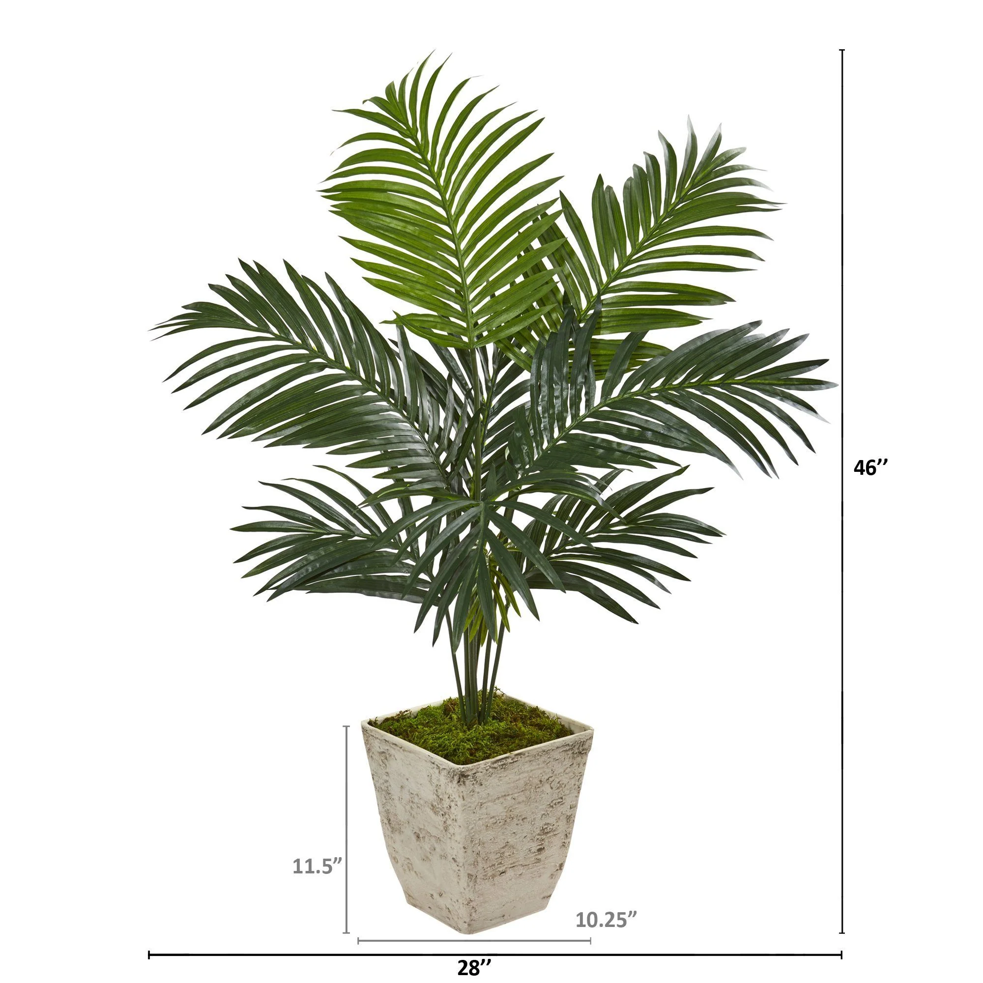 46” Kentia Artificial Palm Tree in Country White Planter - Image 2