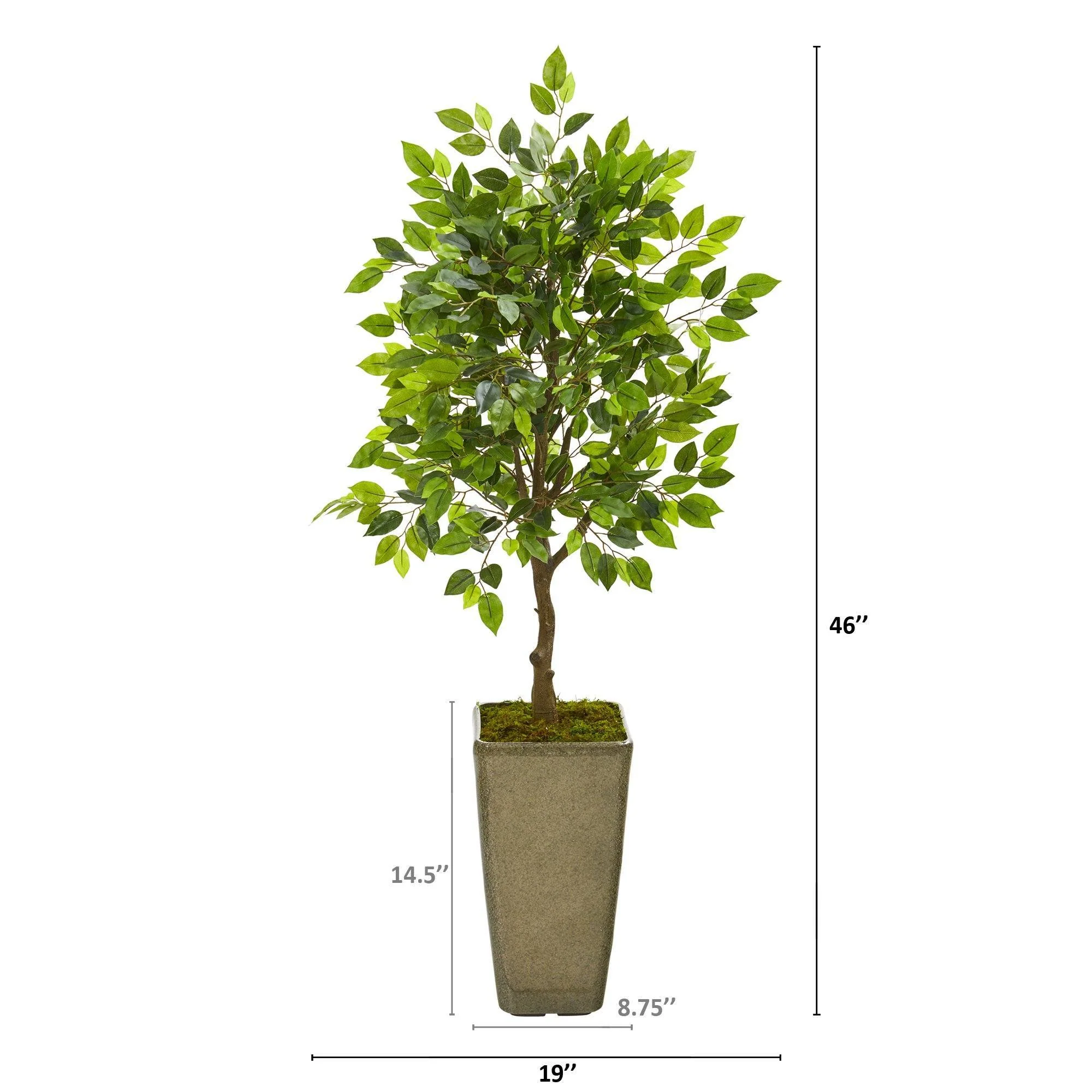 46” Mini Ficus Artificial Tree in Green Planter - Image 2