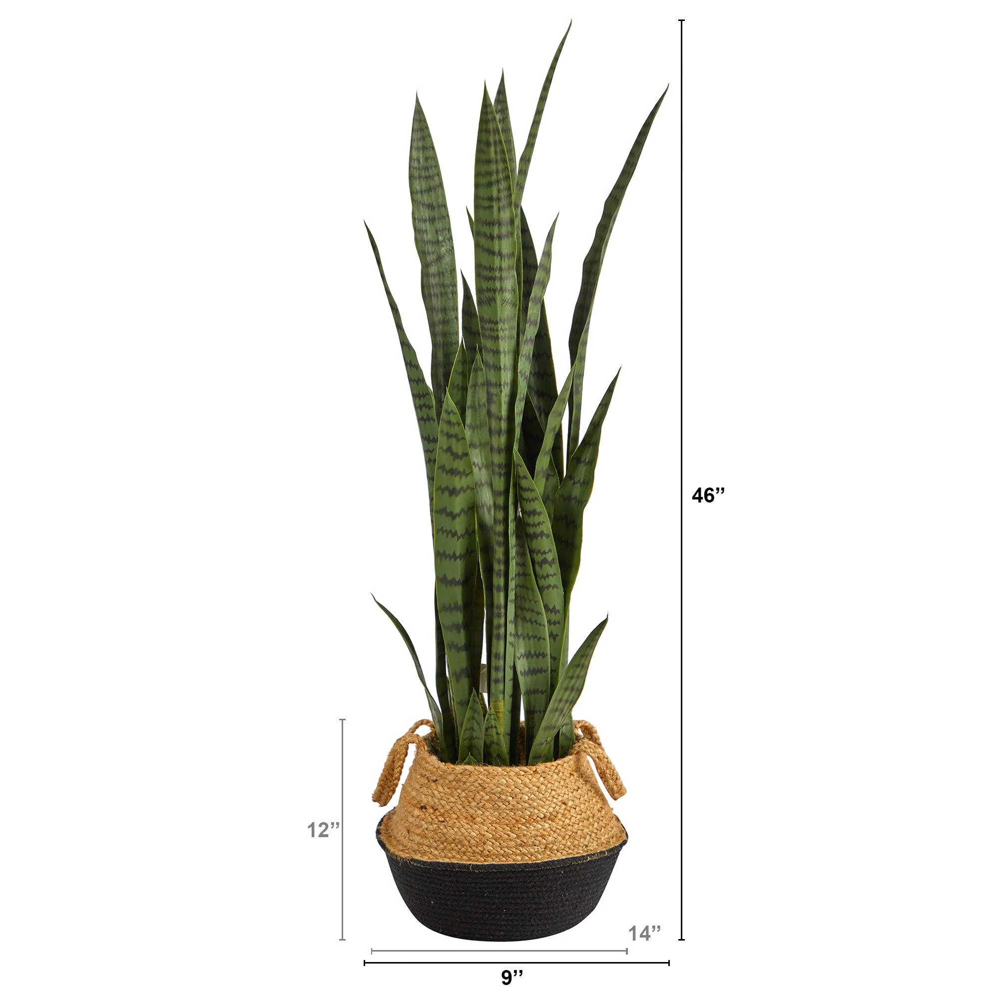 46” Sansevieria Plant in Cotton & Jute Black Woven Planter - Image 2