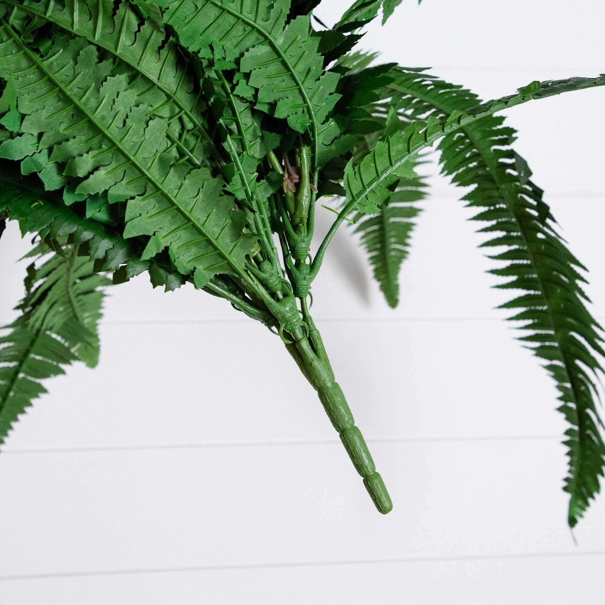 48” Boston Fern (Set of 2) - Image 4