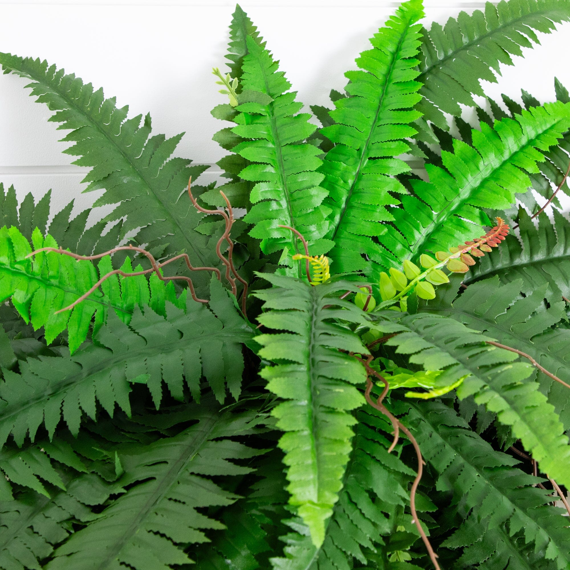 48” Boston Fern (Set of 2) - Image 5
