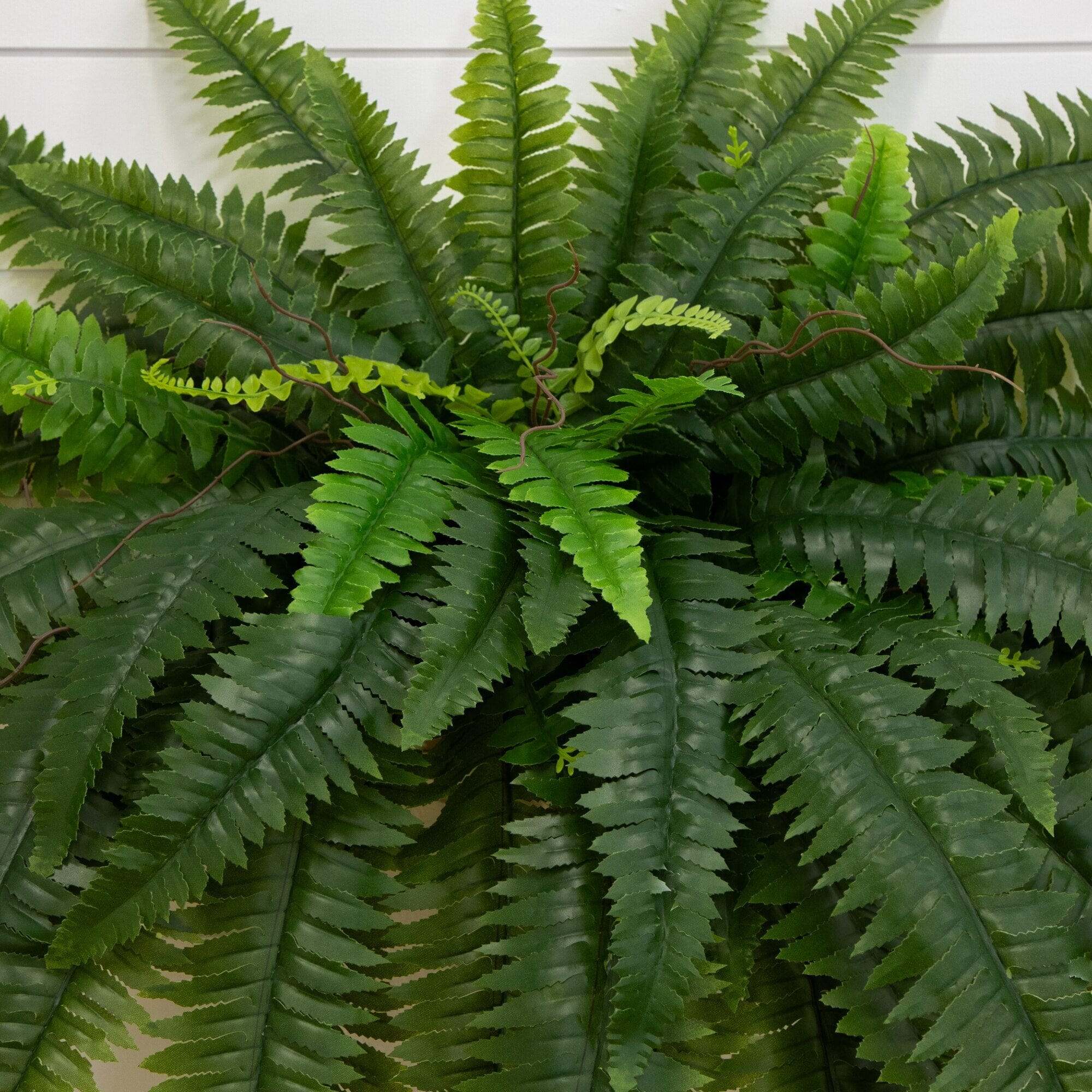 48" UV Resistant Artificial Boston Fern (Indoor/Outdoor) - Set of 2 - Image 2