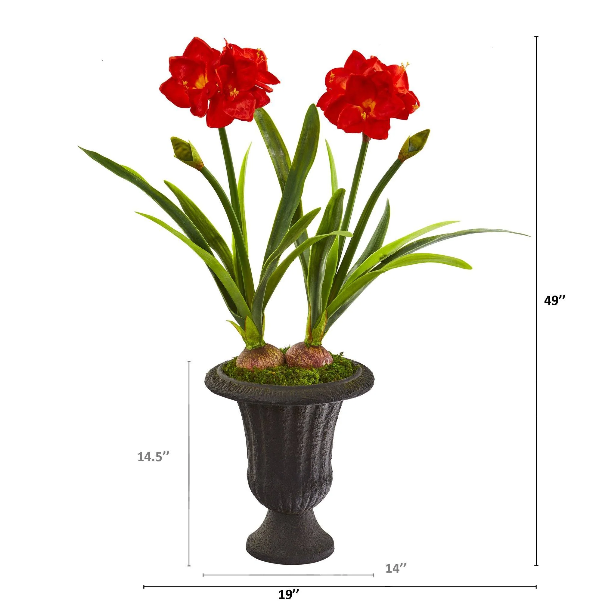 49” Double Amaryllis Artificial Plant in Charcoal Urn - Image 2