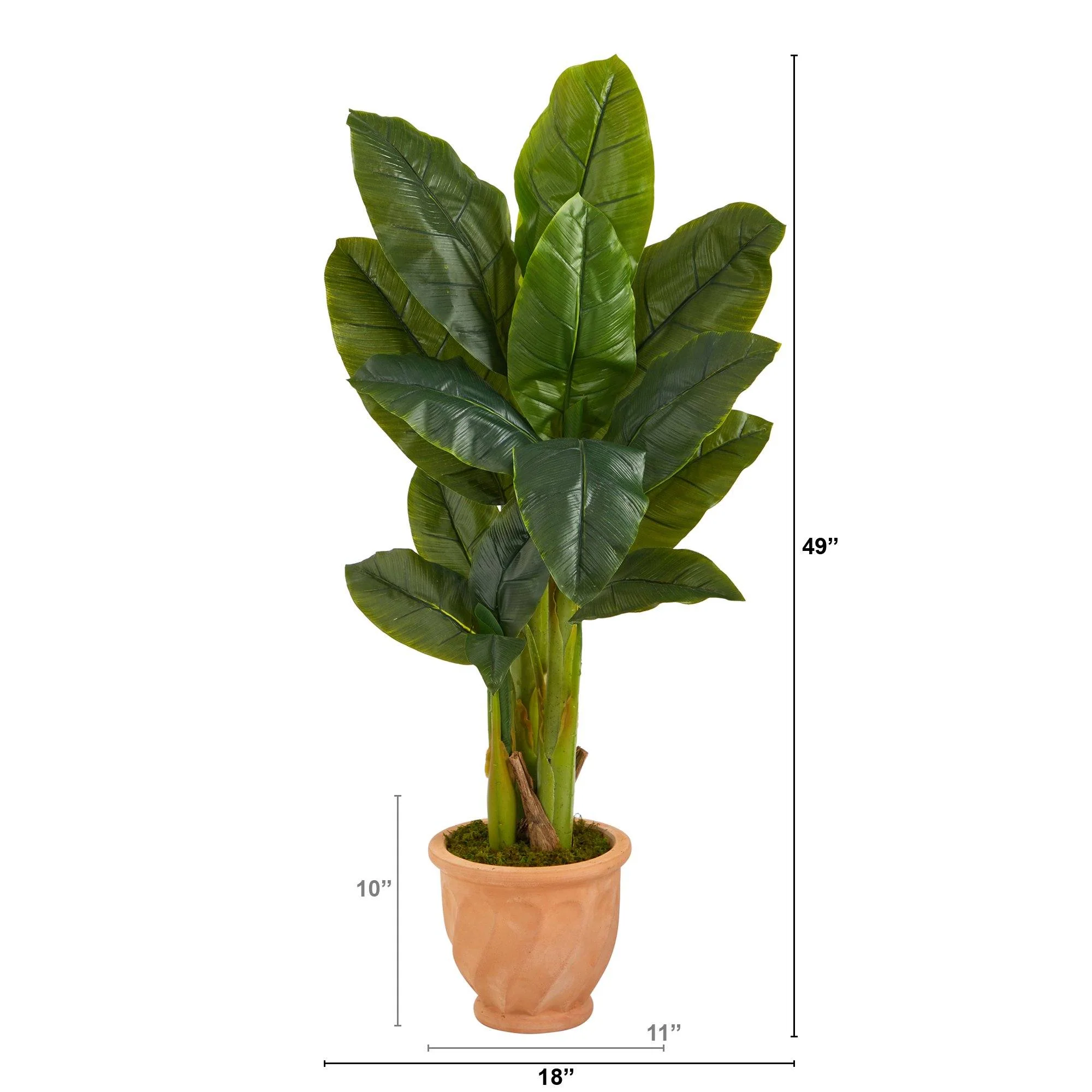 49” Triple Stalk Artificial Banana Tree in Terra-Cotta Planter (Real Touch) - Image 3