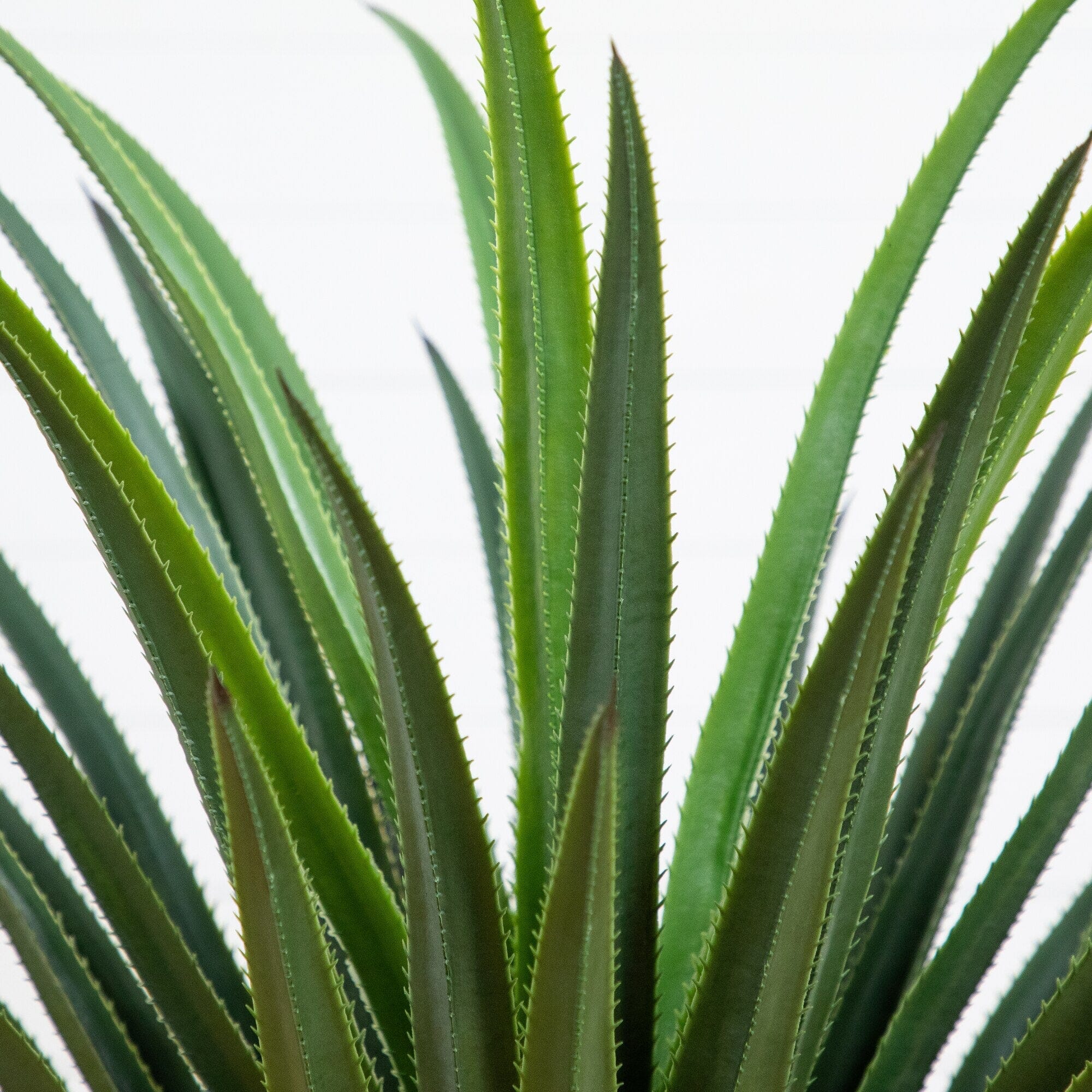4' UV Resistant Artificial Spiked Agave Plant in White Tower Planter (Indoor/Outdoor) - Image 2