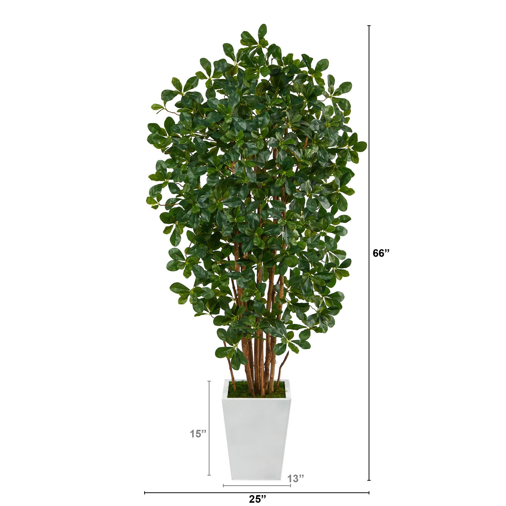 5.5’ Black Olive Artificial Tree with 1365 Bendable Leaves in Metal White Planter - Image 2