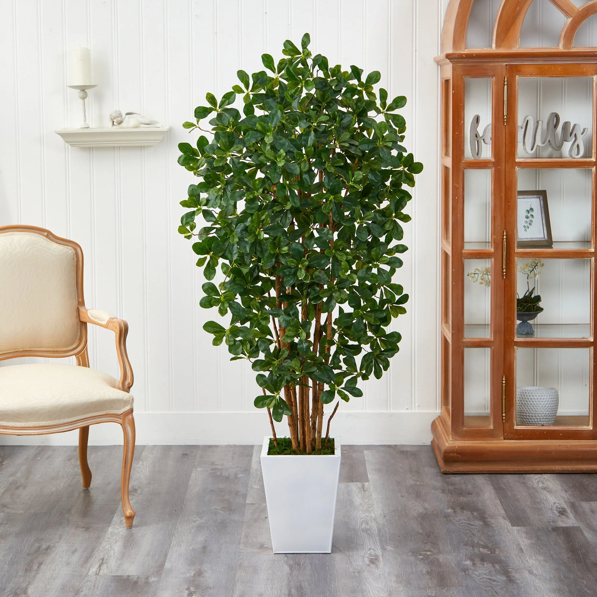 5.5’ Black Olive Artificial Tree with 1365 Bendable Leaves in Metal White Planter - Image 3