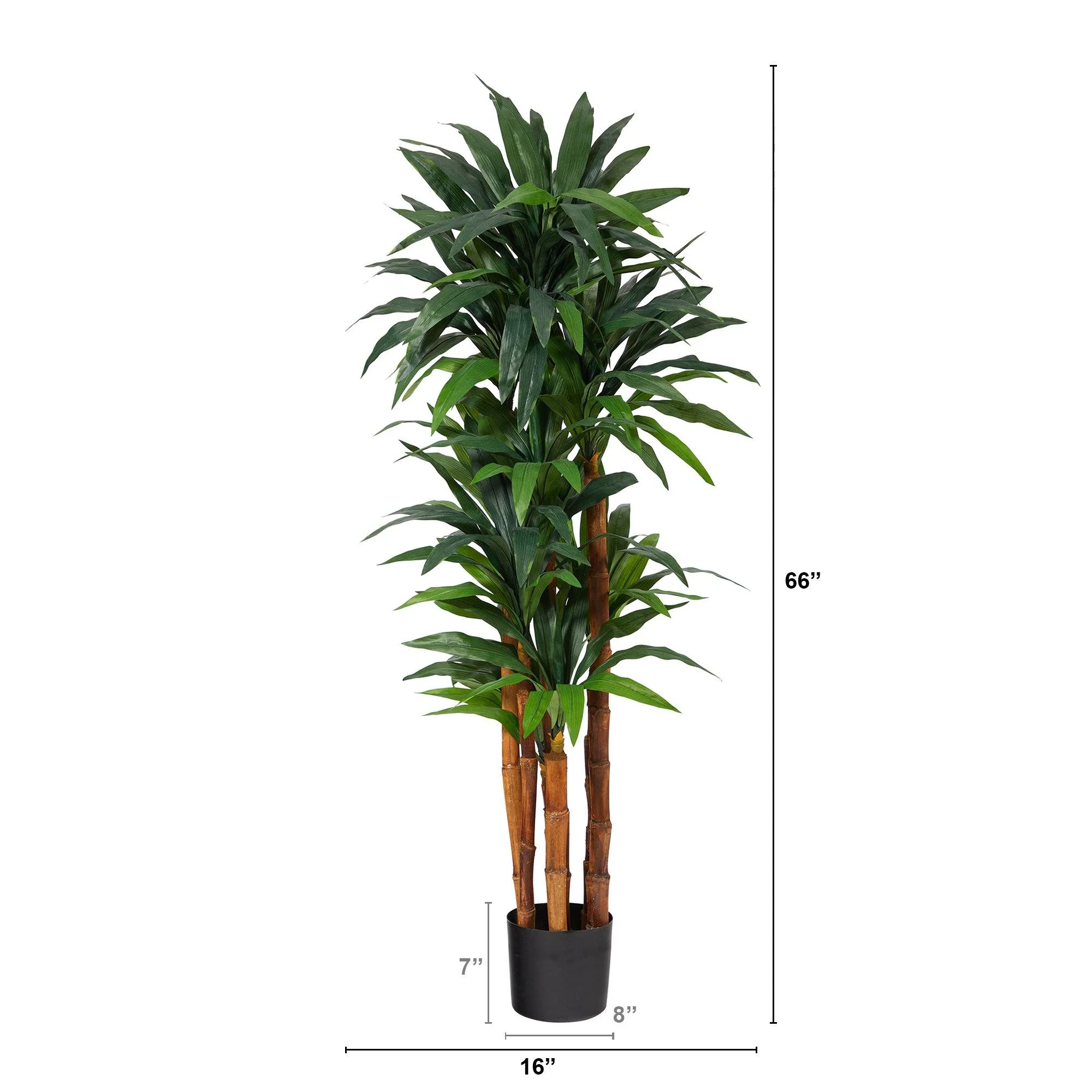 5.5’ Dracaena Artificial Tree with Natural Cane Trunk - Image 2