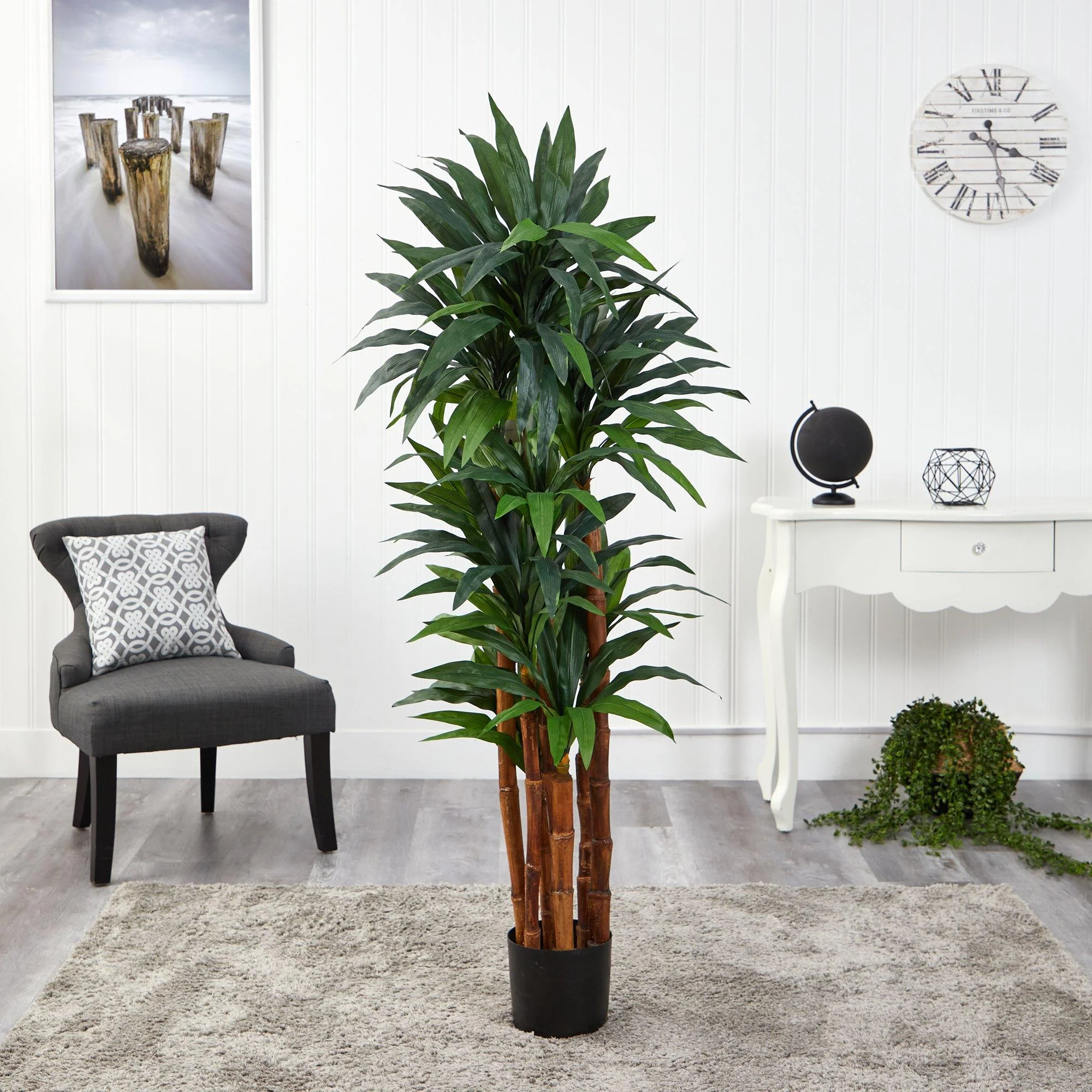 5.5’ Dracaena Artificial Tree with Natural Cane Trunk - Image 4