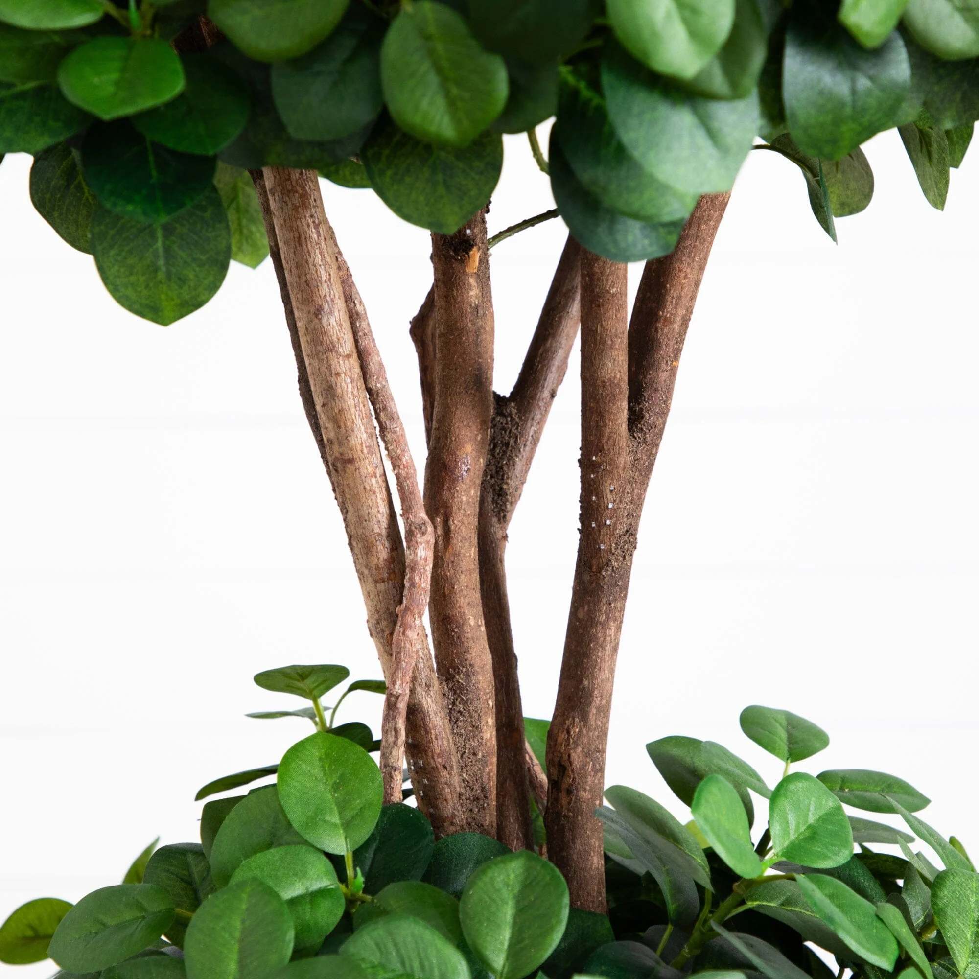 5.5' Eucalyptus Double Ball Topiary Silk Tree - Image 5