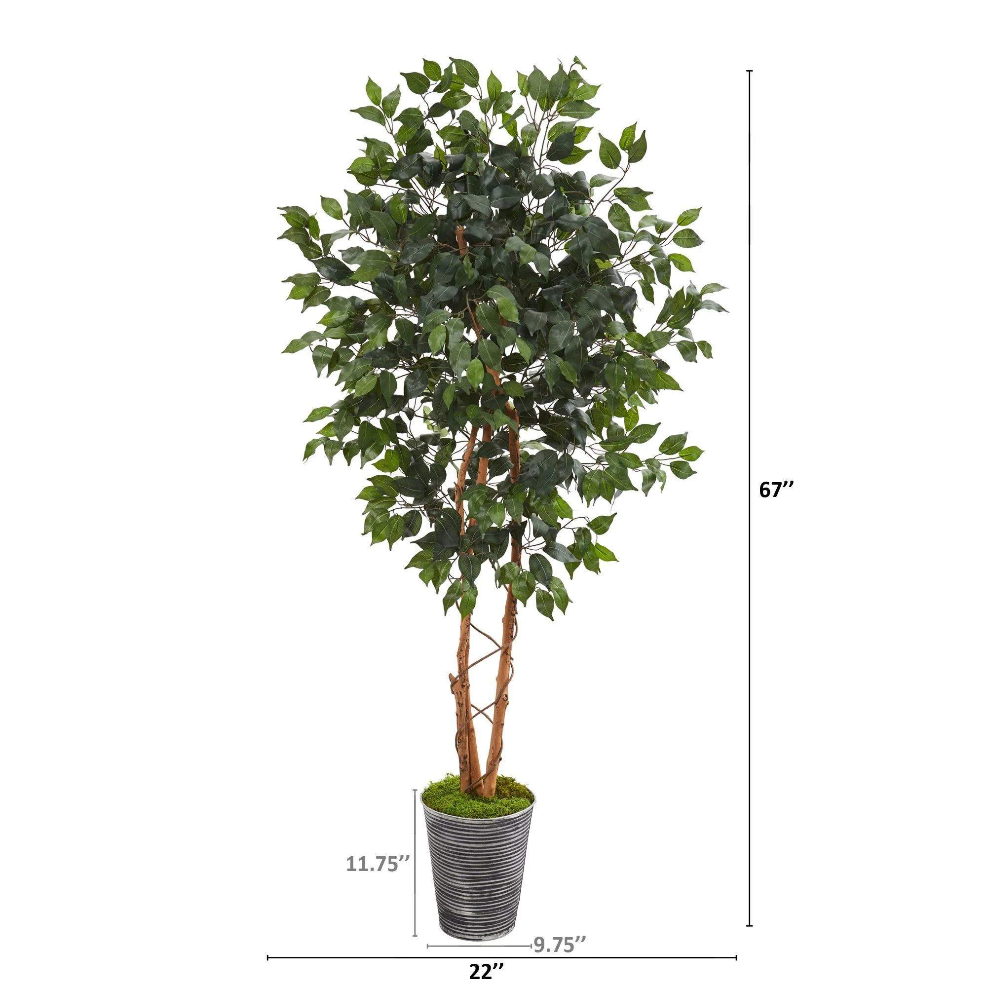 5.5’ Ficus Artificial Tree in Decorative Tin Planter - Image 2